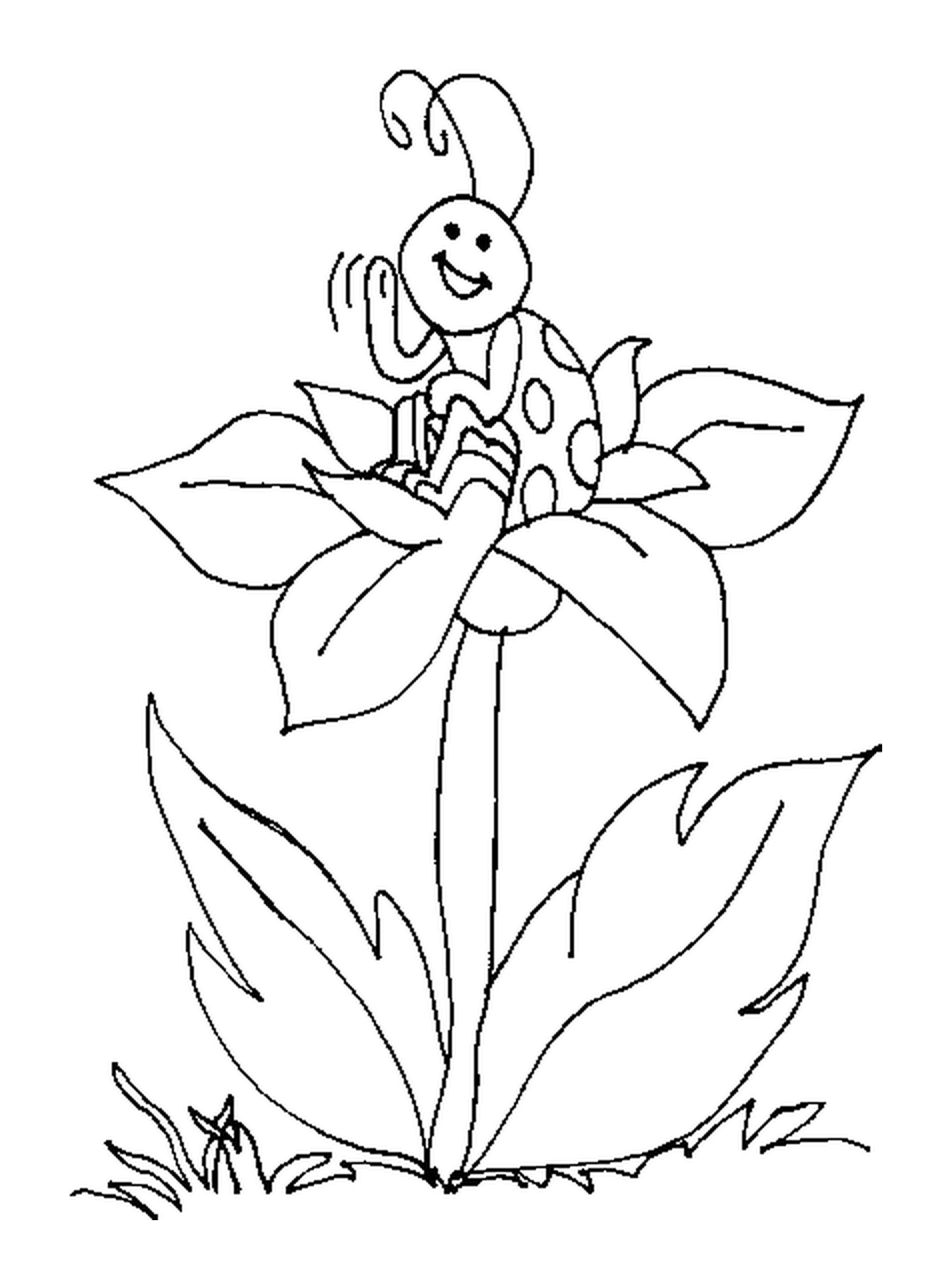coloriage coccinelle assise sur une fleur