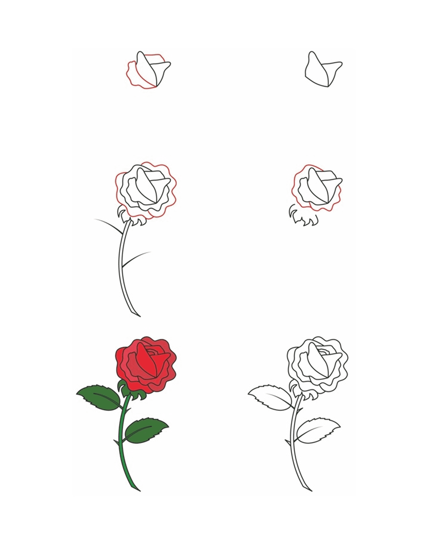 coloriage comment dessiner une rose
