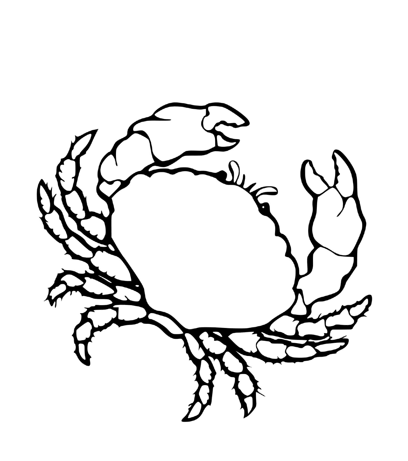 coloriage crabe realiste