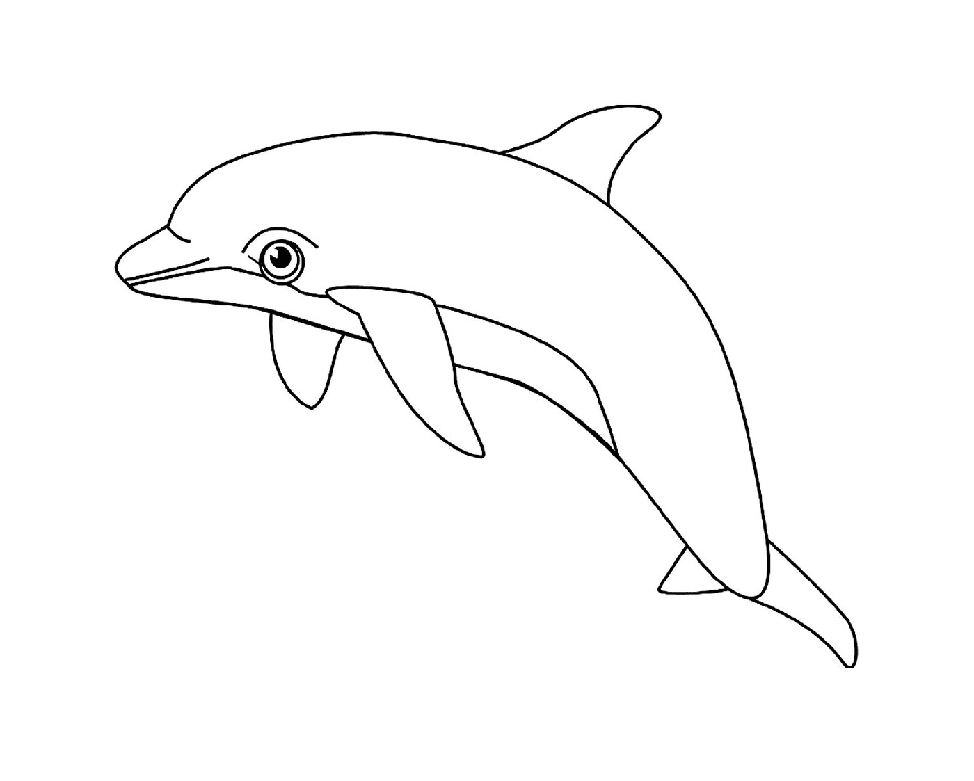 coloriage dauphin animal aquatique