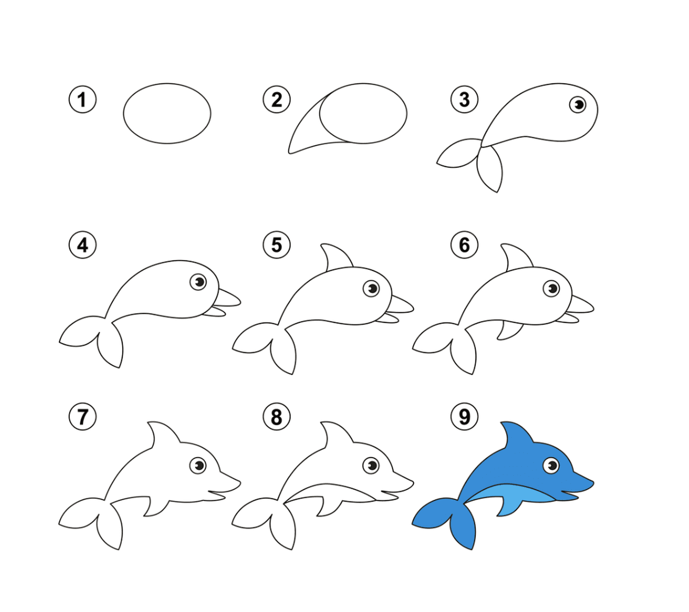 coloriage apprendre comment dessiner dauphin