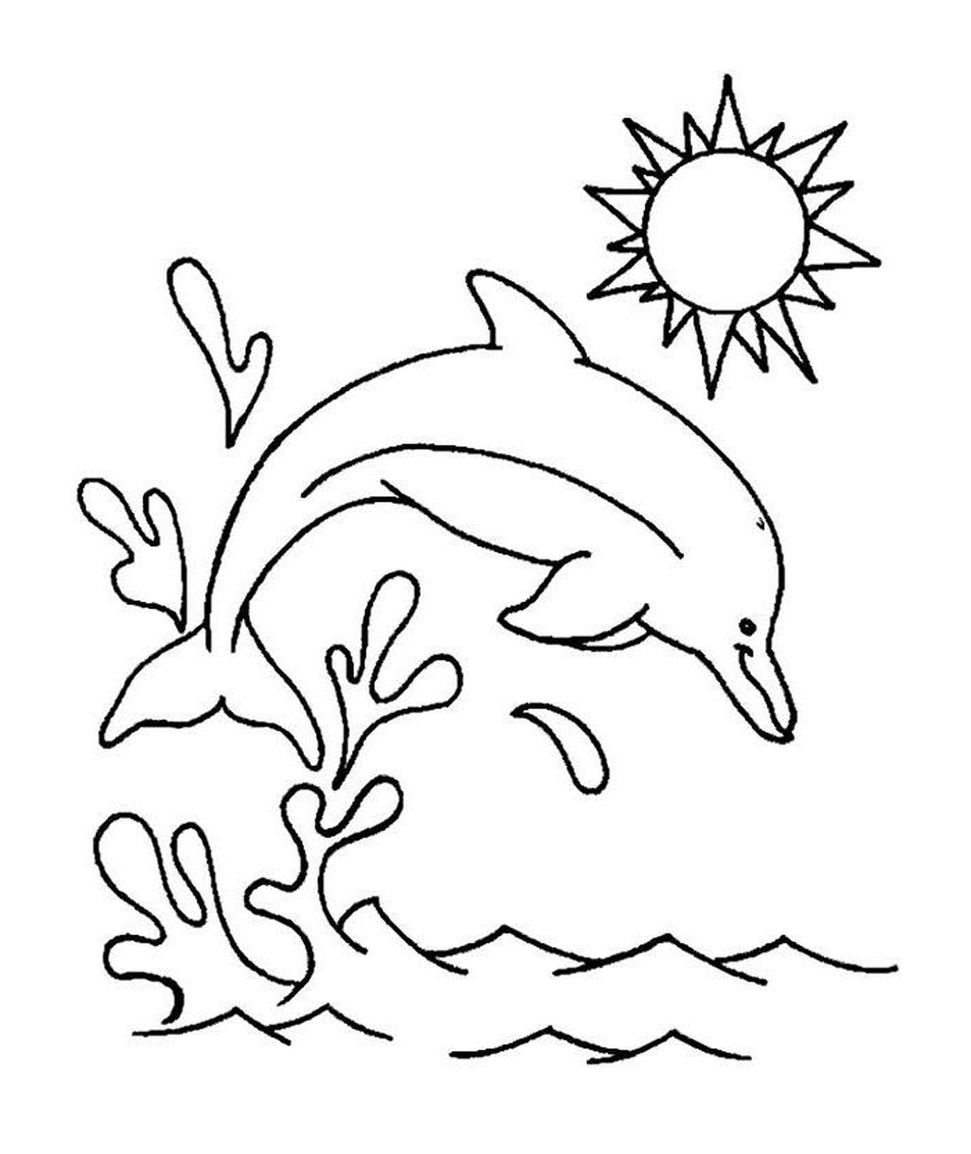 plogeon dauphin