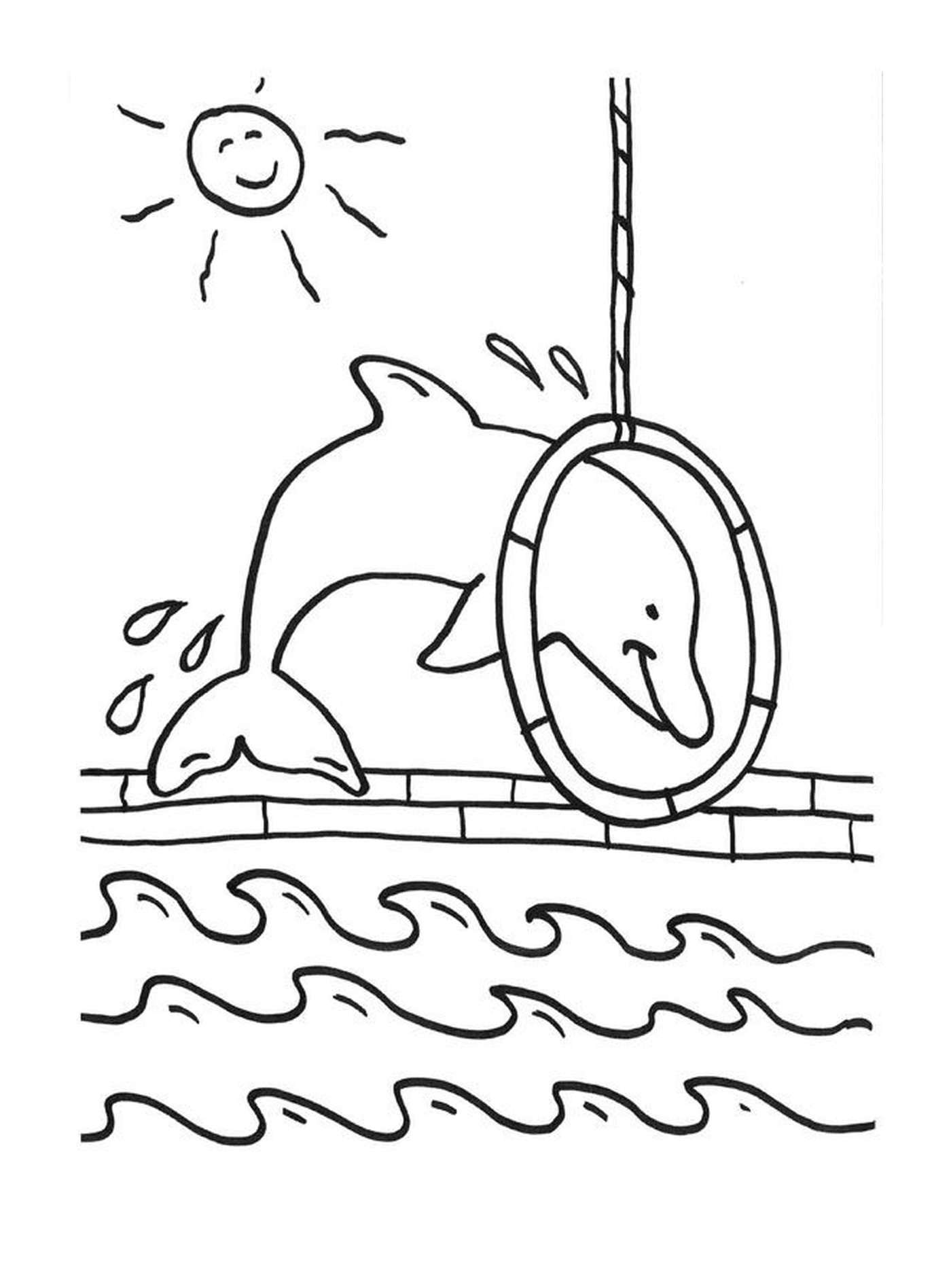 coloriage dauphin saut dans un cerceau