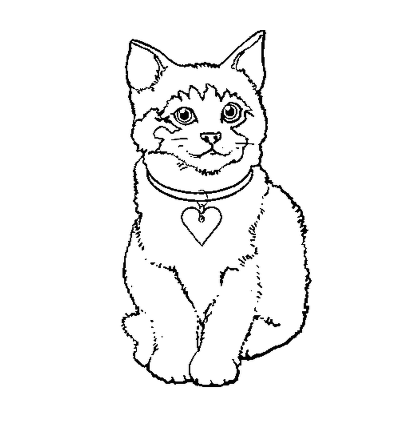 coloriage dessin petit chaton