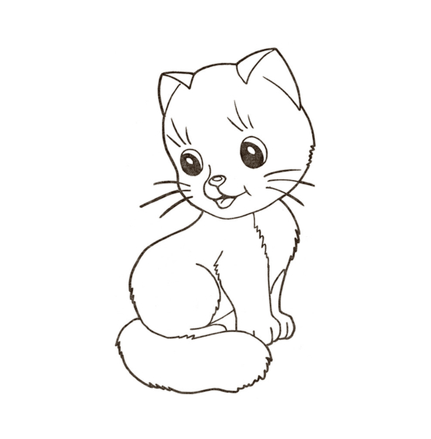 coloriage dessin chat kitten