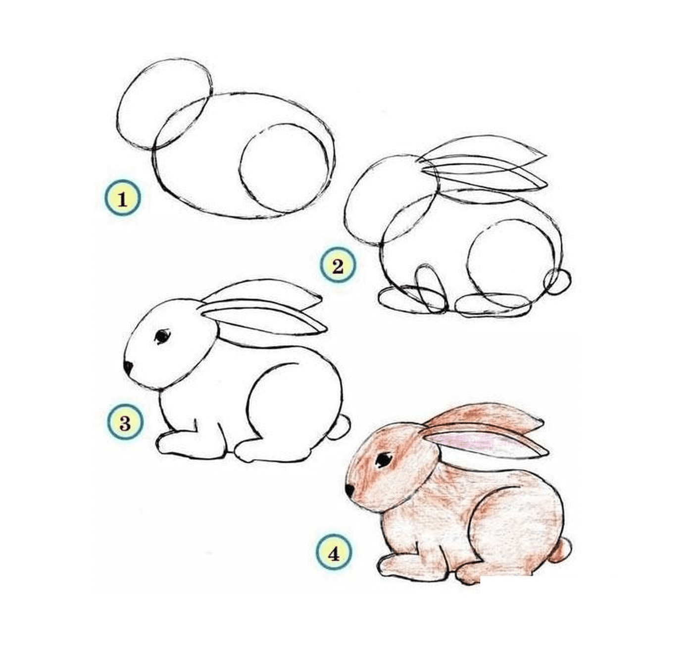 coloriage dessin facile a faire lapin