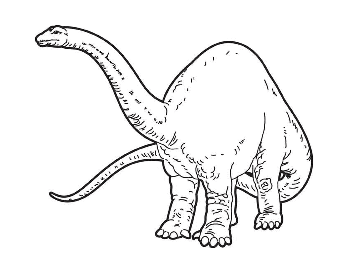 coloriage dessin dinosaure brontosaure