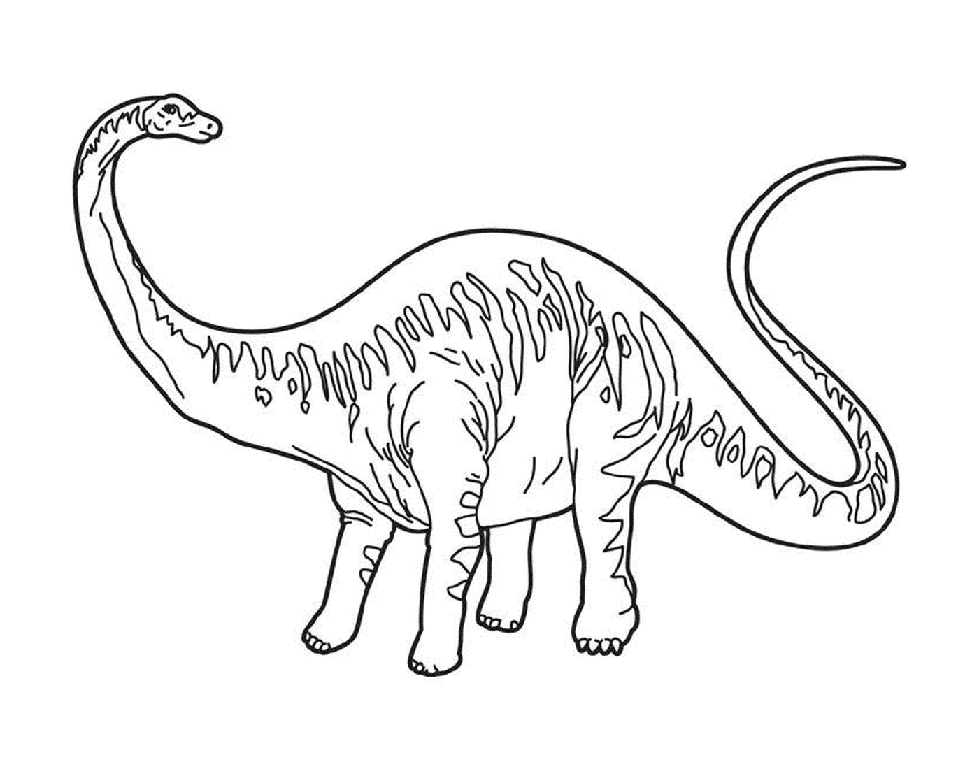 coloriage dessin dinosaure diplodocus