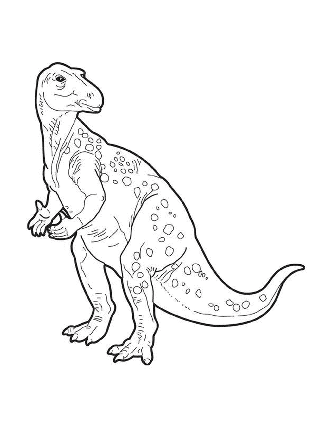 coloriage dessin dinosaure iguanodon