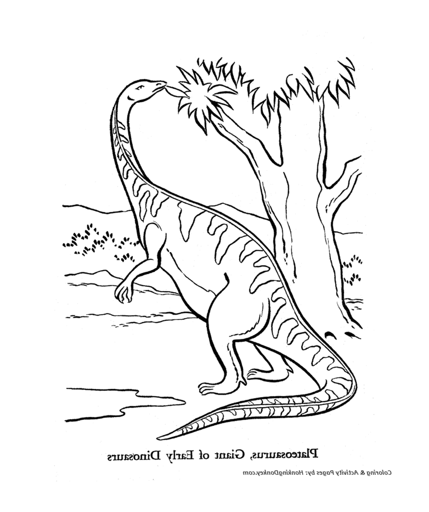 coloriage dinosaure 192
