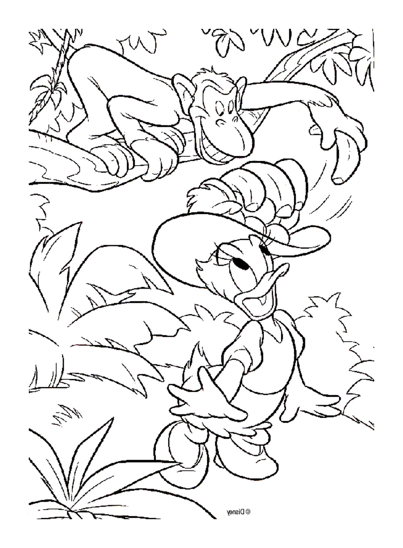 coloriage Daisy dans la jungle Disney