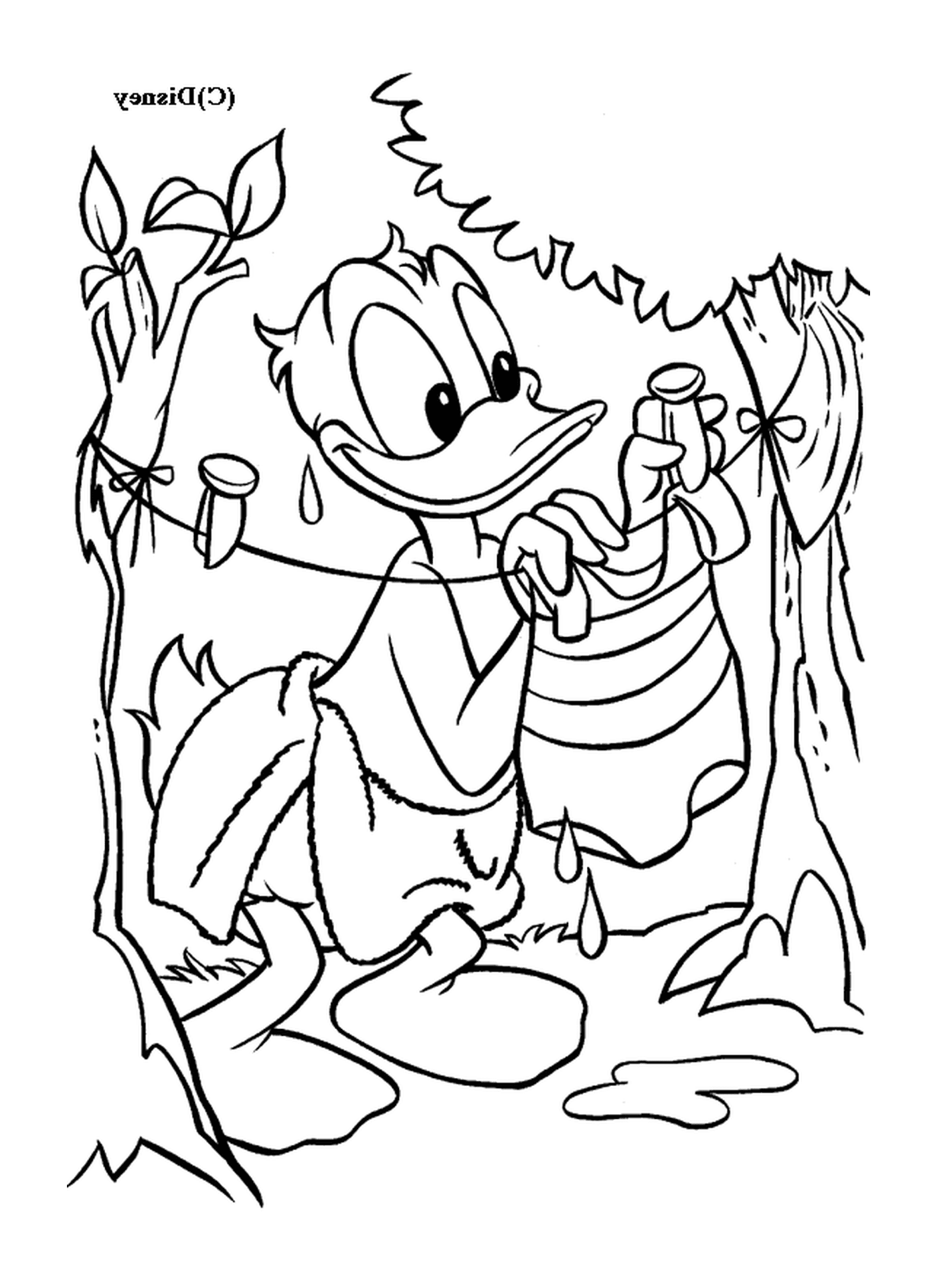 coloriage Donald fait secher son linge Disney
