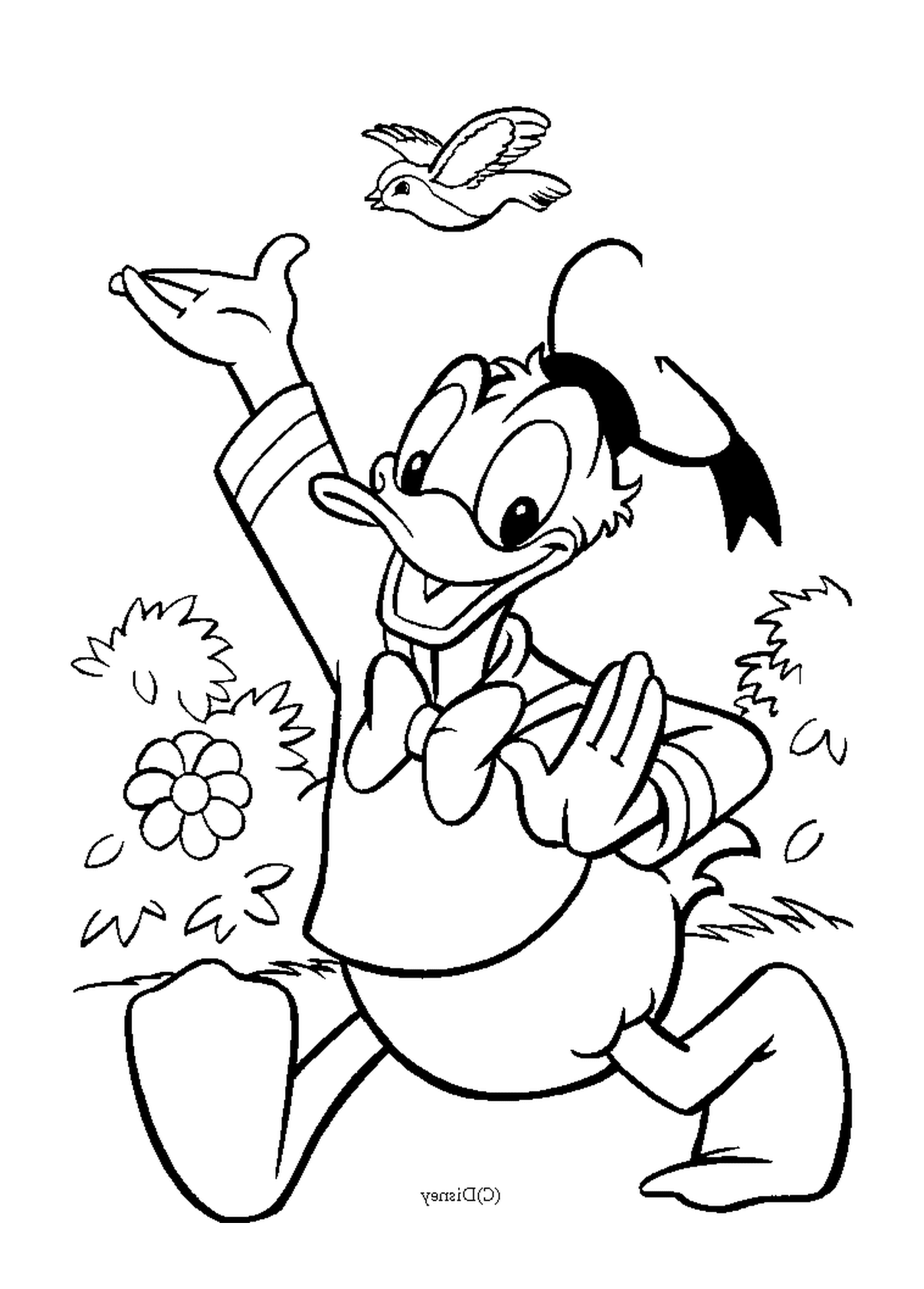 coloriage Donald se ballade Disney