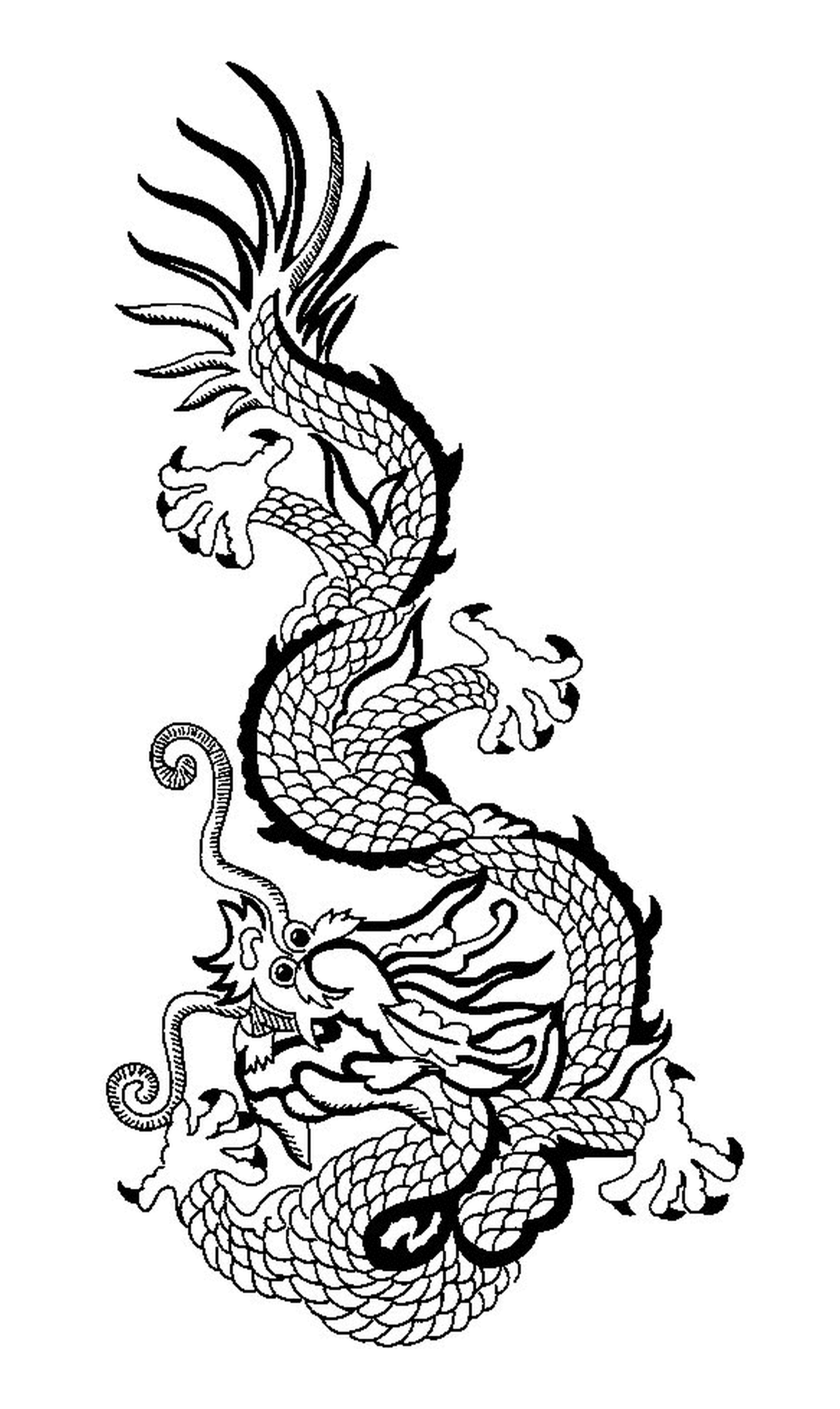 coloriage dragon japonais