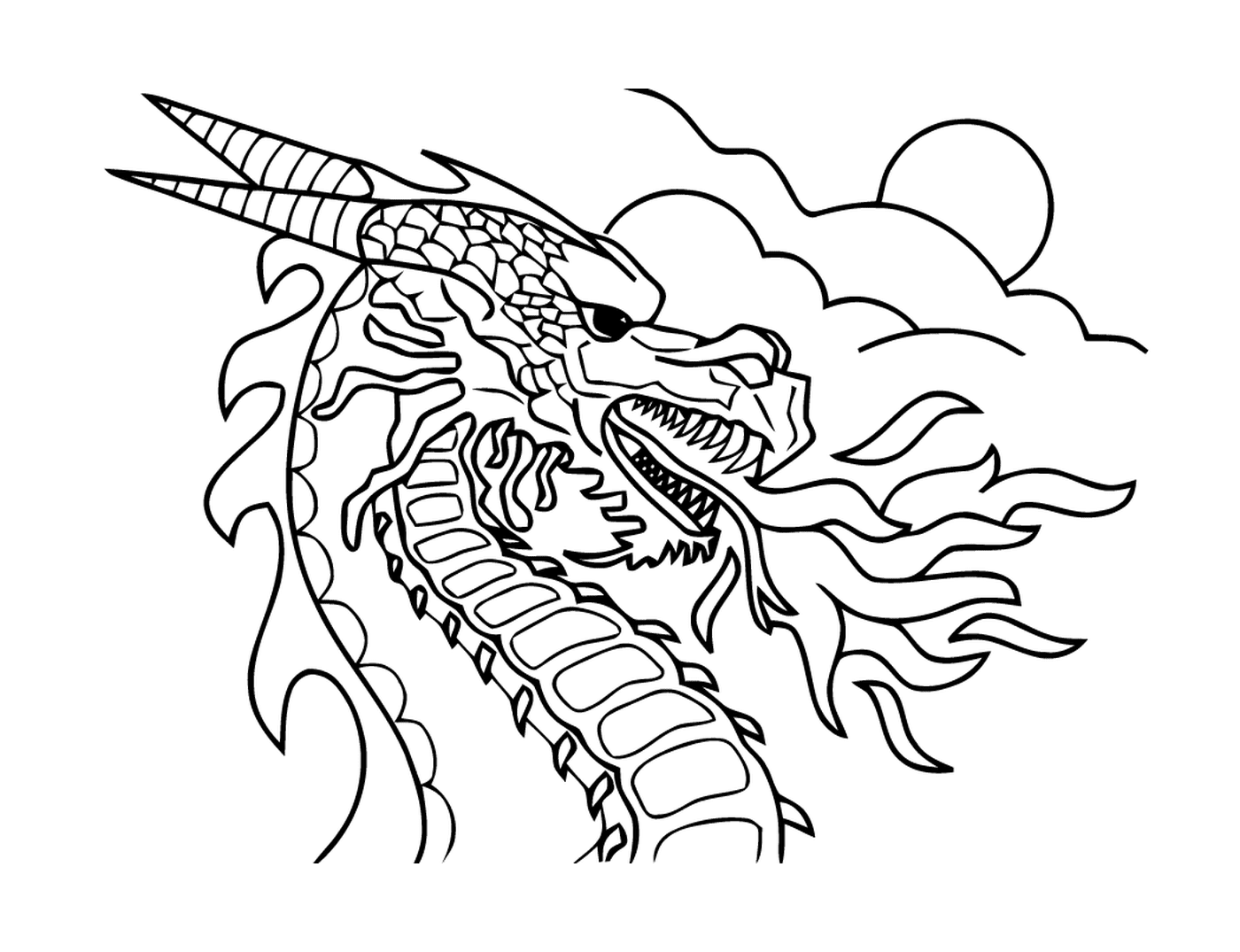 coloriage dragon 50