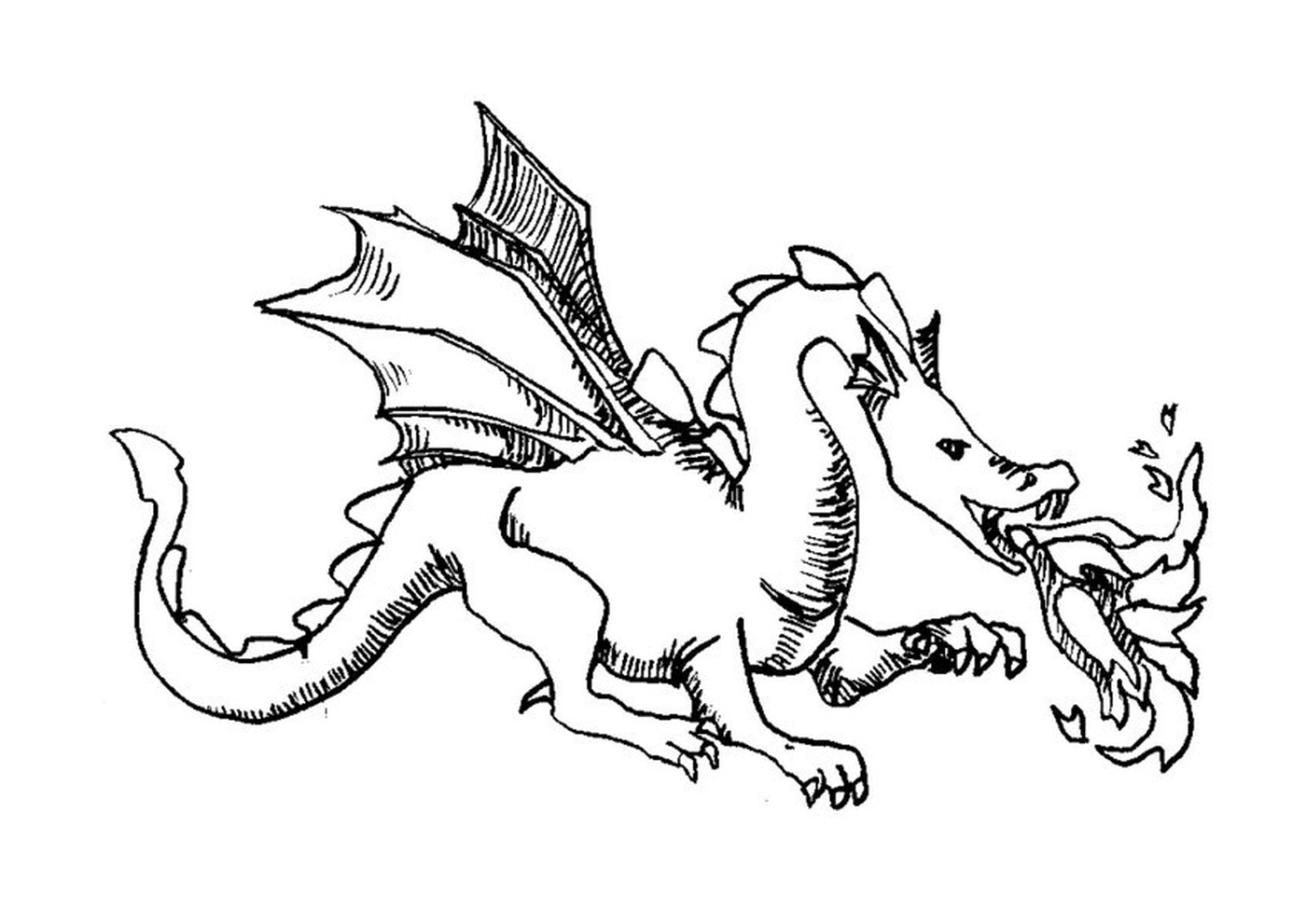 coloriage dragon 21