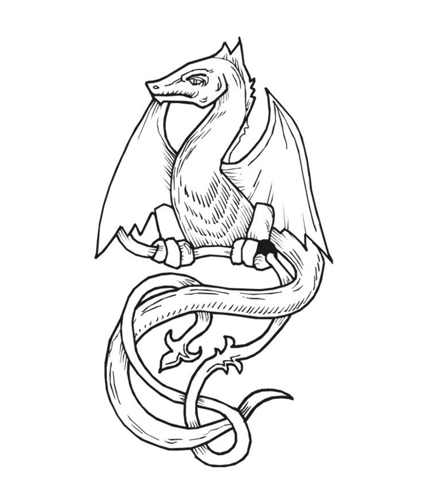 coloriage dragon 38