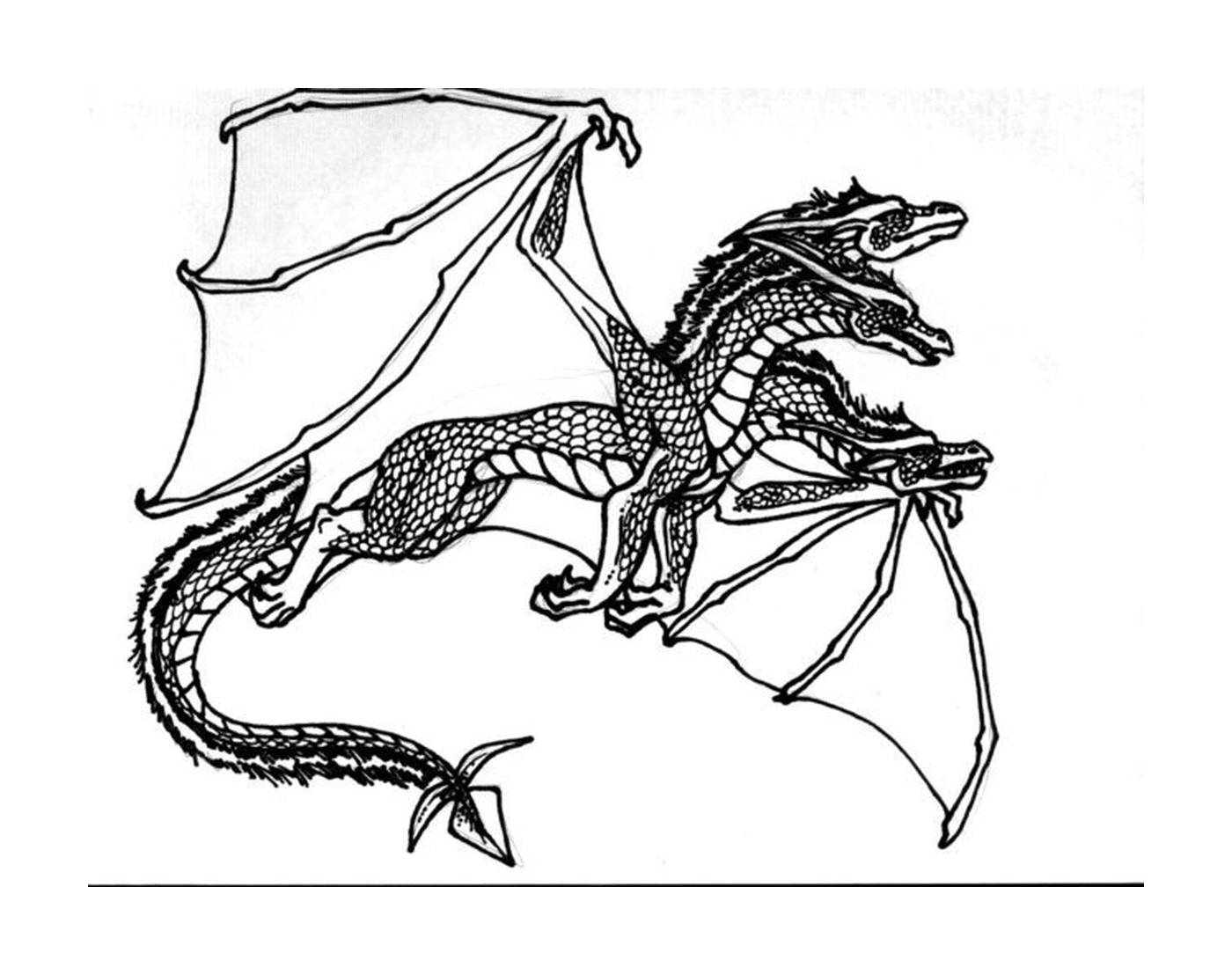 coloriage dragon 145