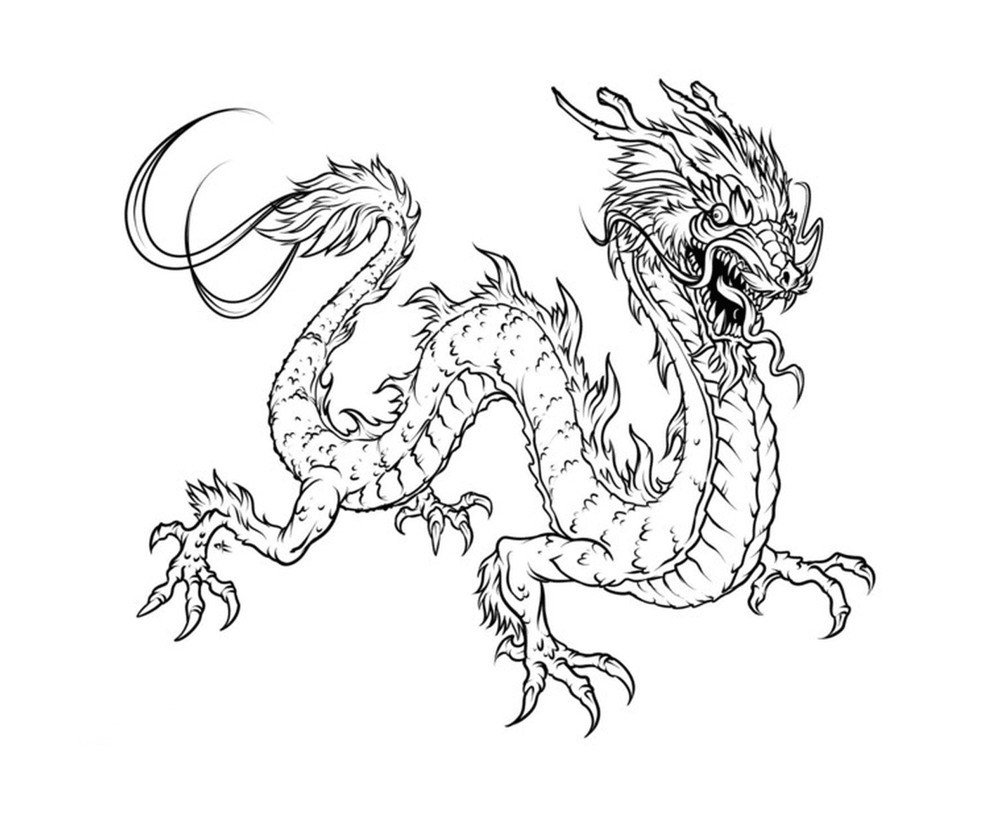 coloriage dragon 5