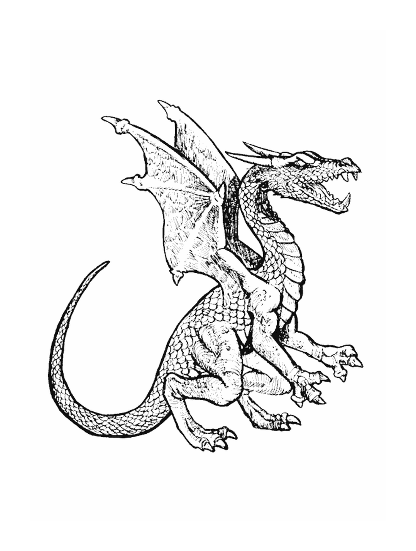 coloriage dragon 30