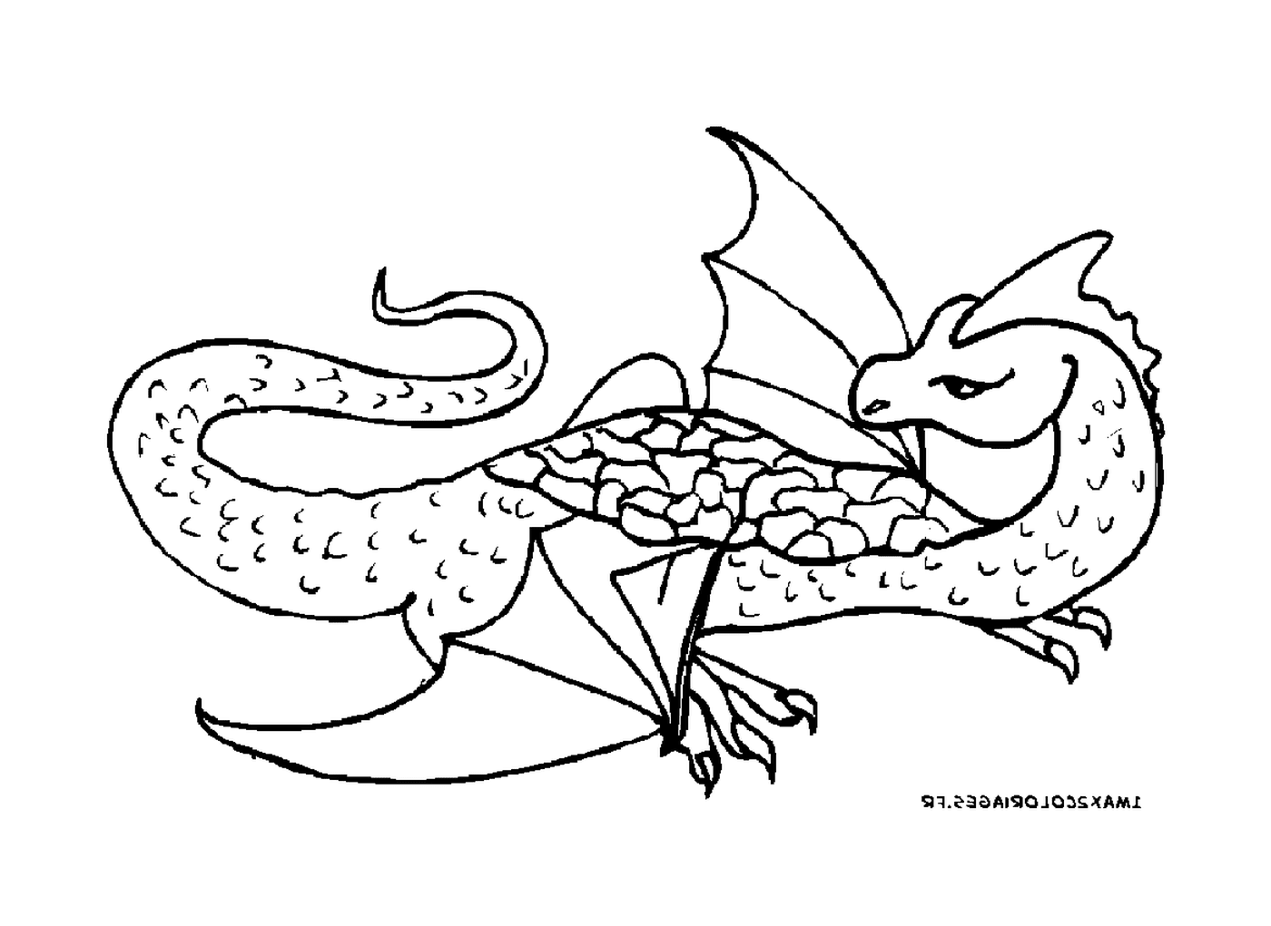 coloriage dragon 187