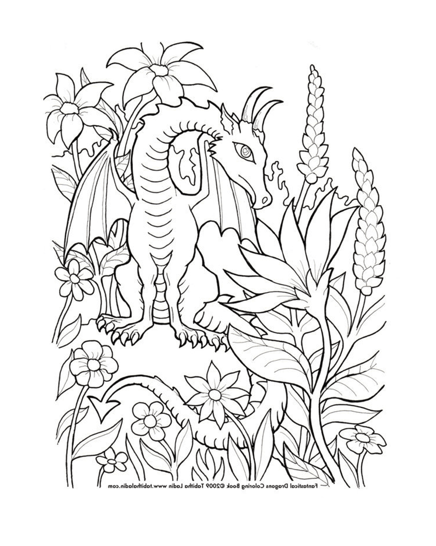 coloriage dragon 234