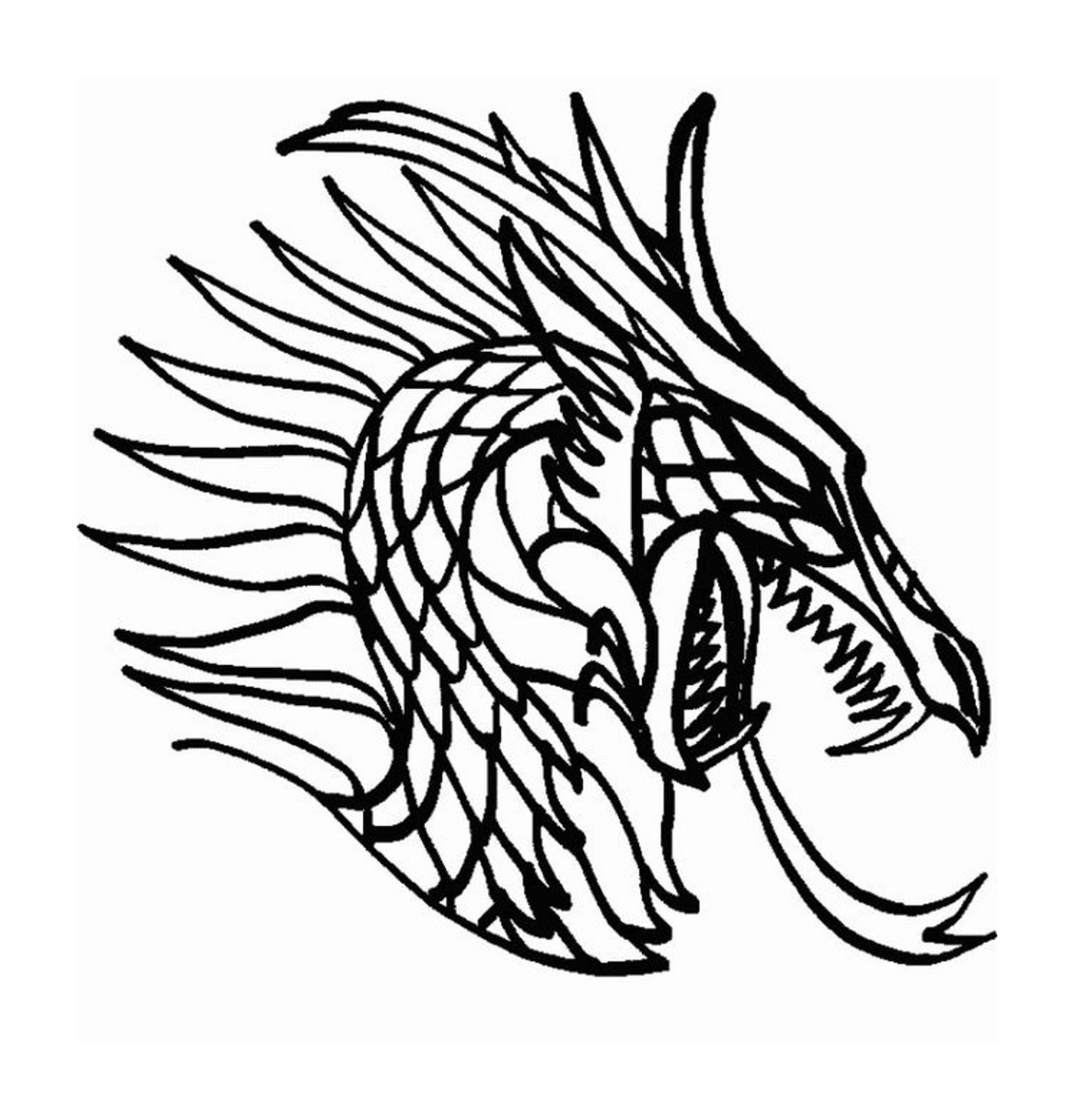 coloriage dragon 4