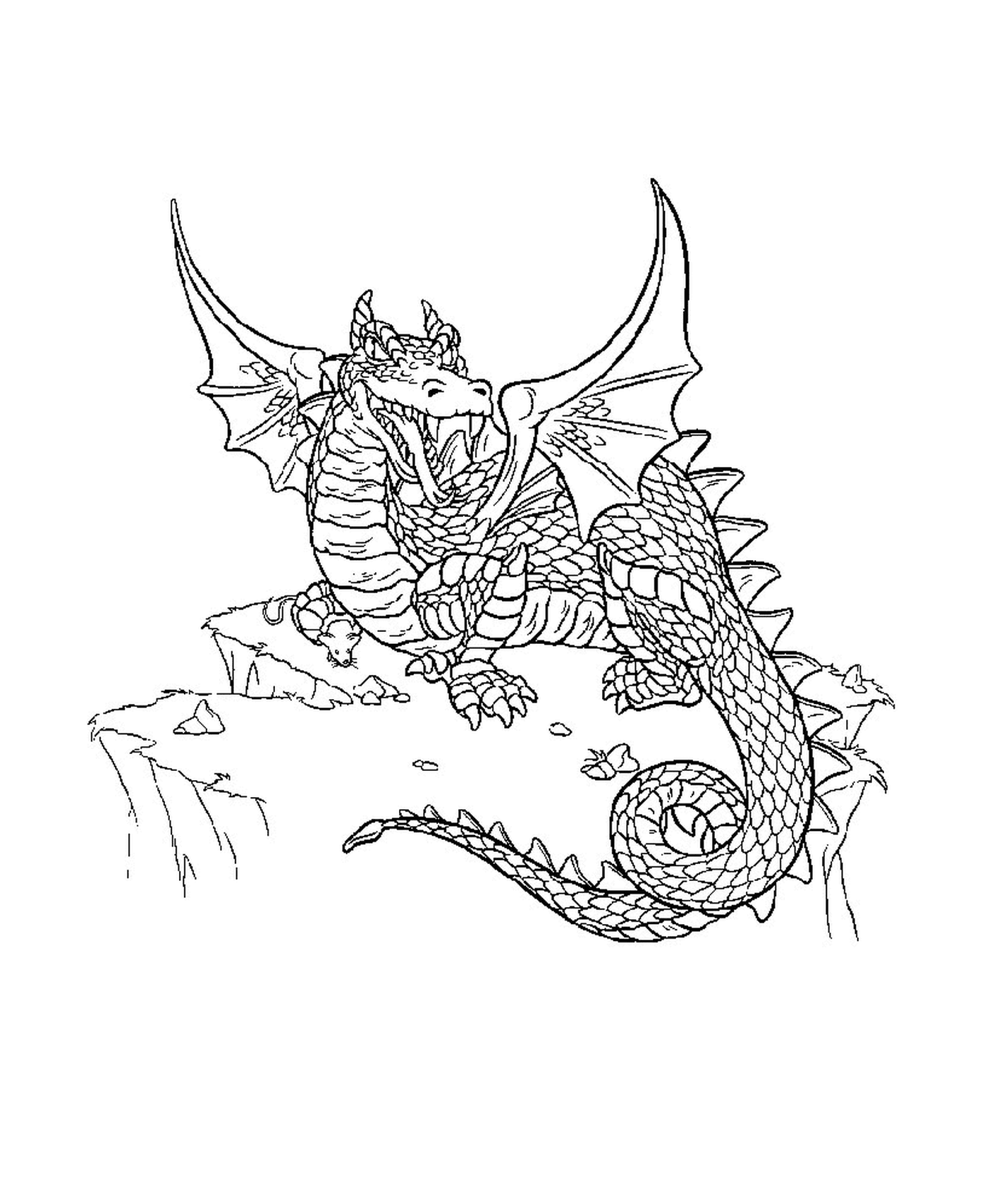coloriage dragon 70