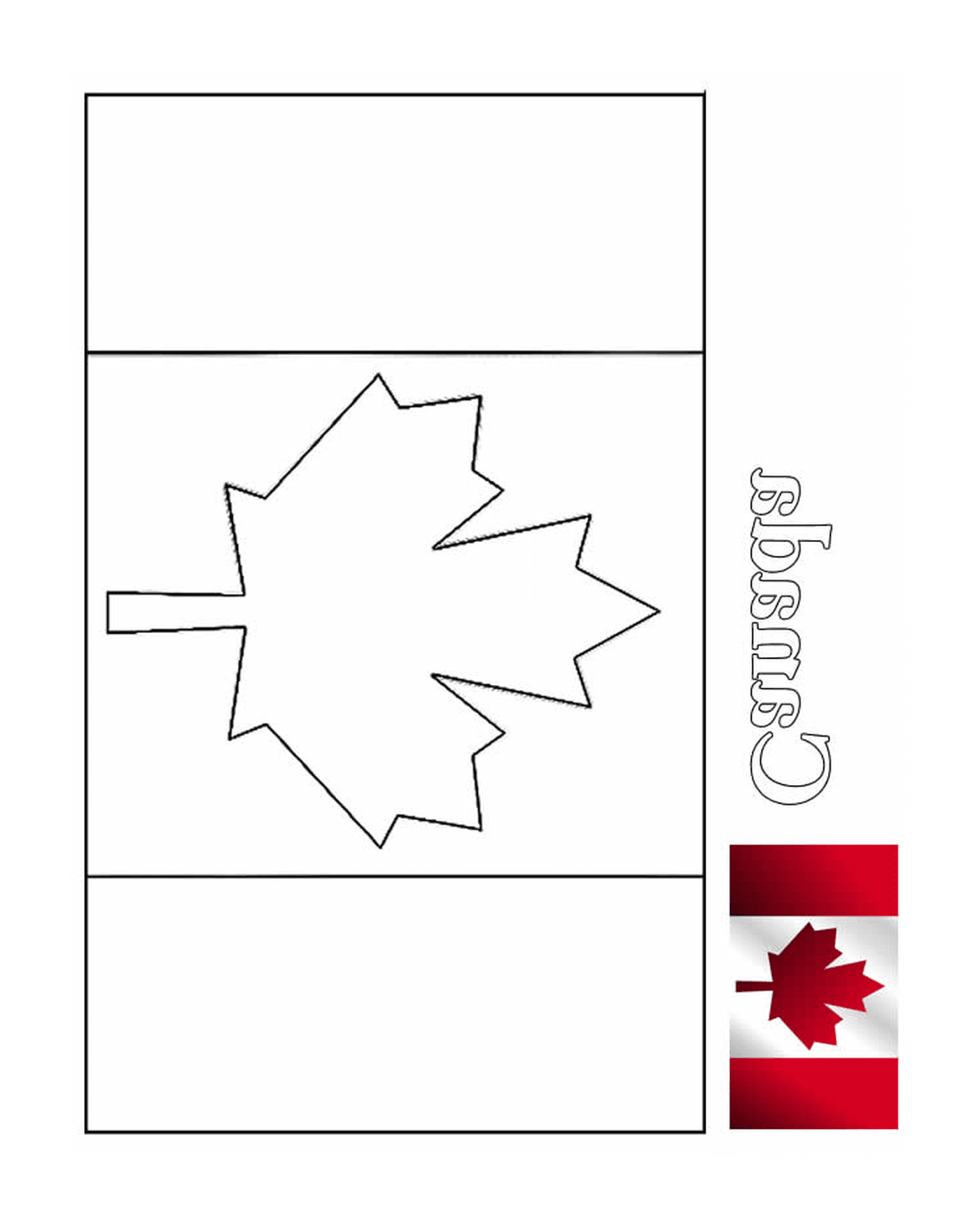coloriage drapeau canada avec illustration