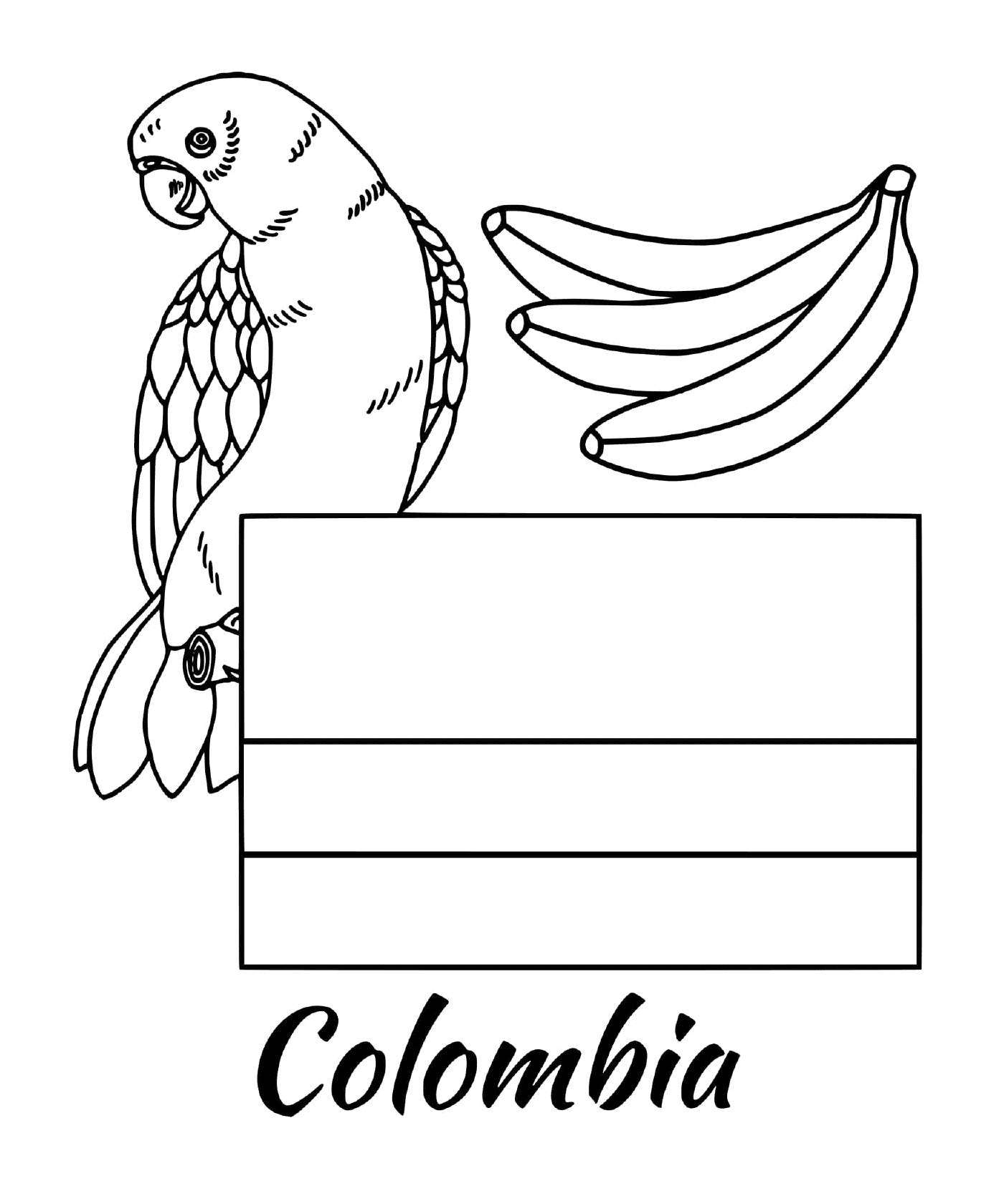 coloriage colombie drapeau parrot