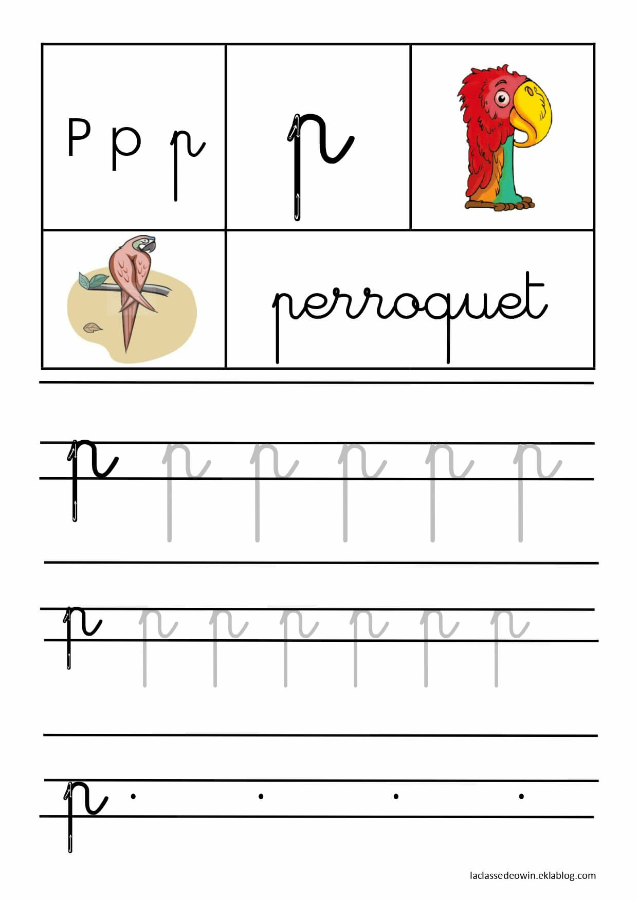 coloriage lettre P pour Perroquet ecriture cursive gs
