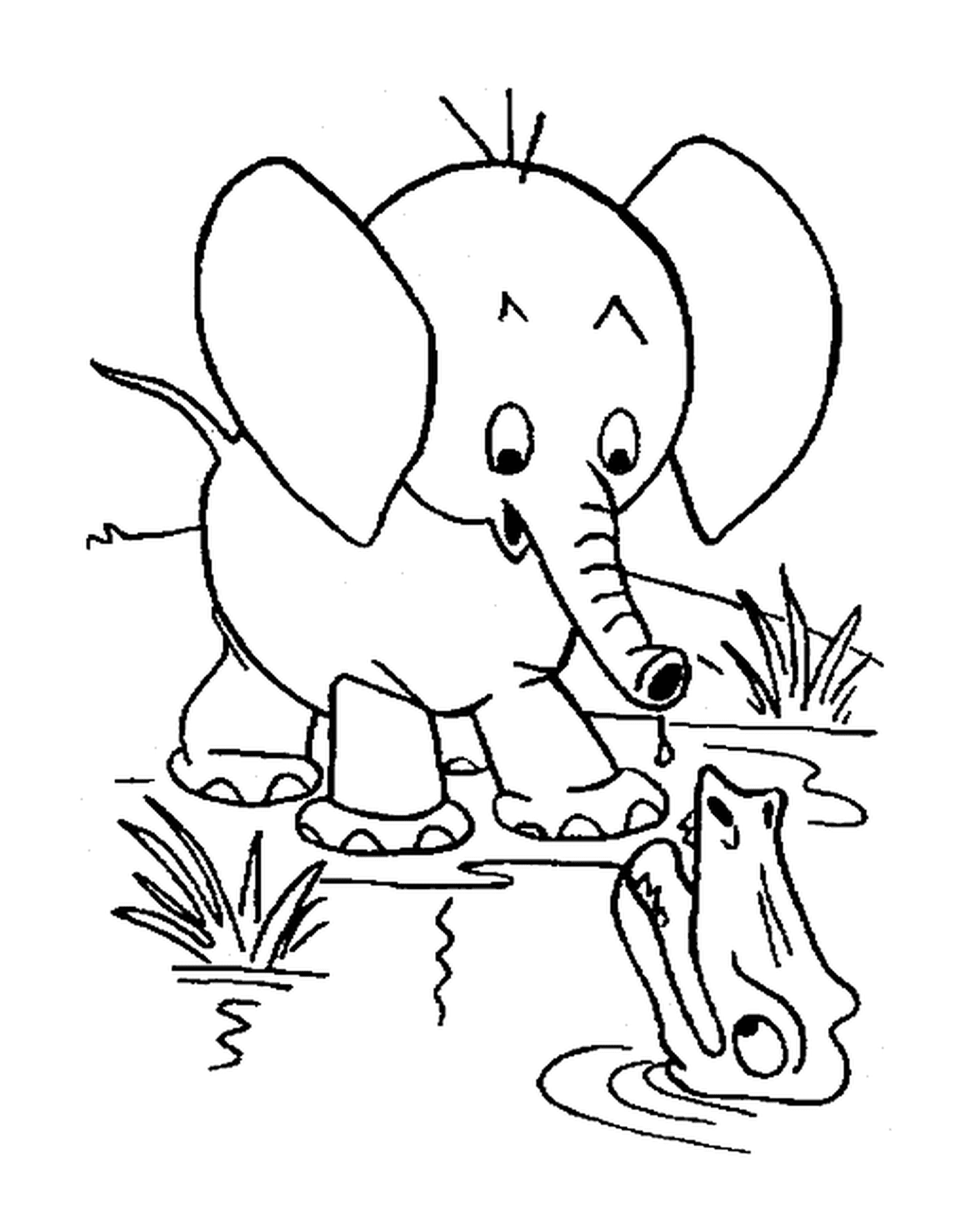 coloriage elephant pret de l eau avec un crocodile