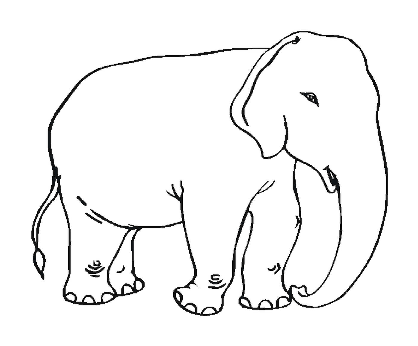 coloriage elephant a colorier
