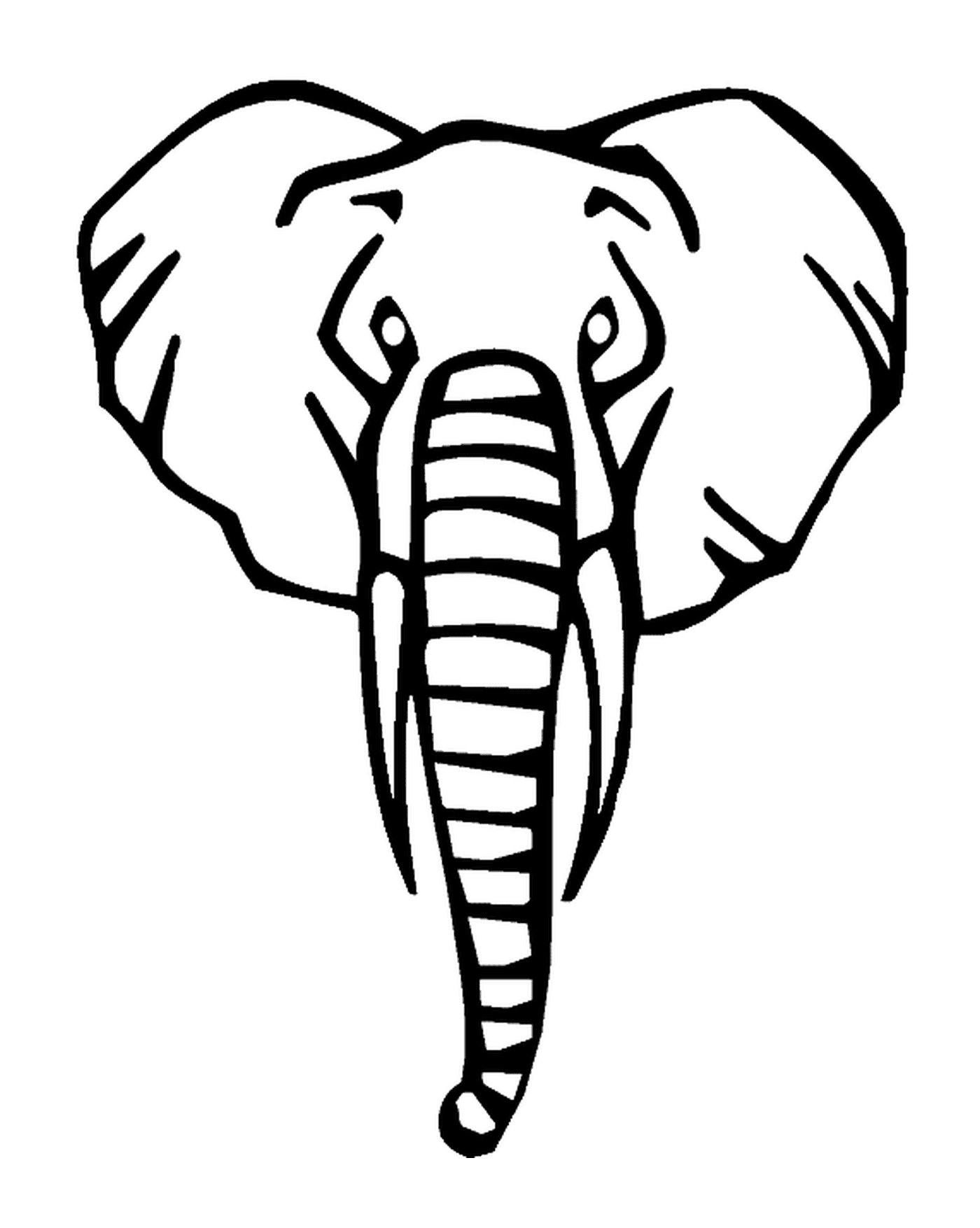 coloriage tete d elephant de face