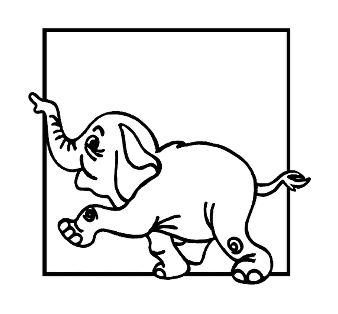 coloriage elephant avec un cadre