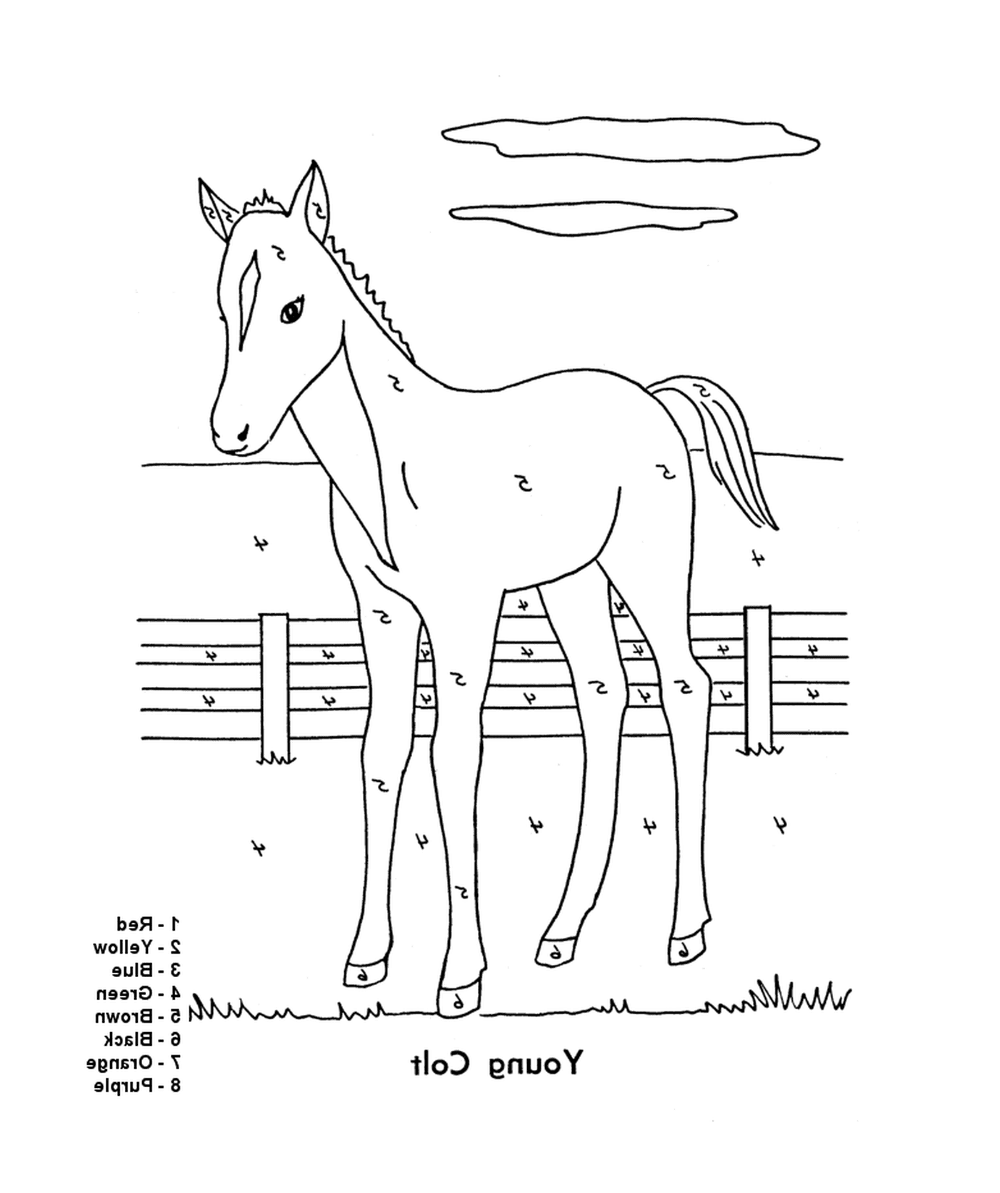 cheval facile 145