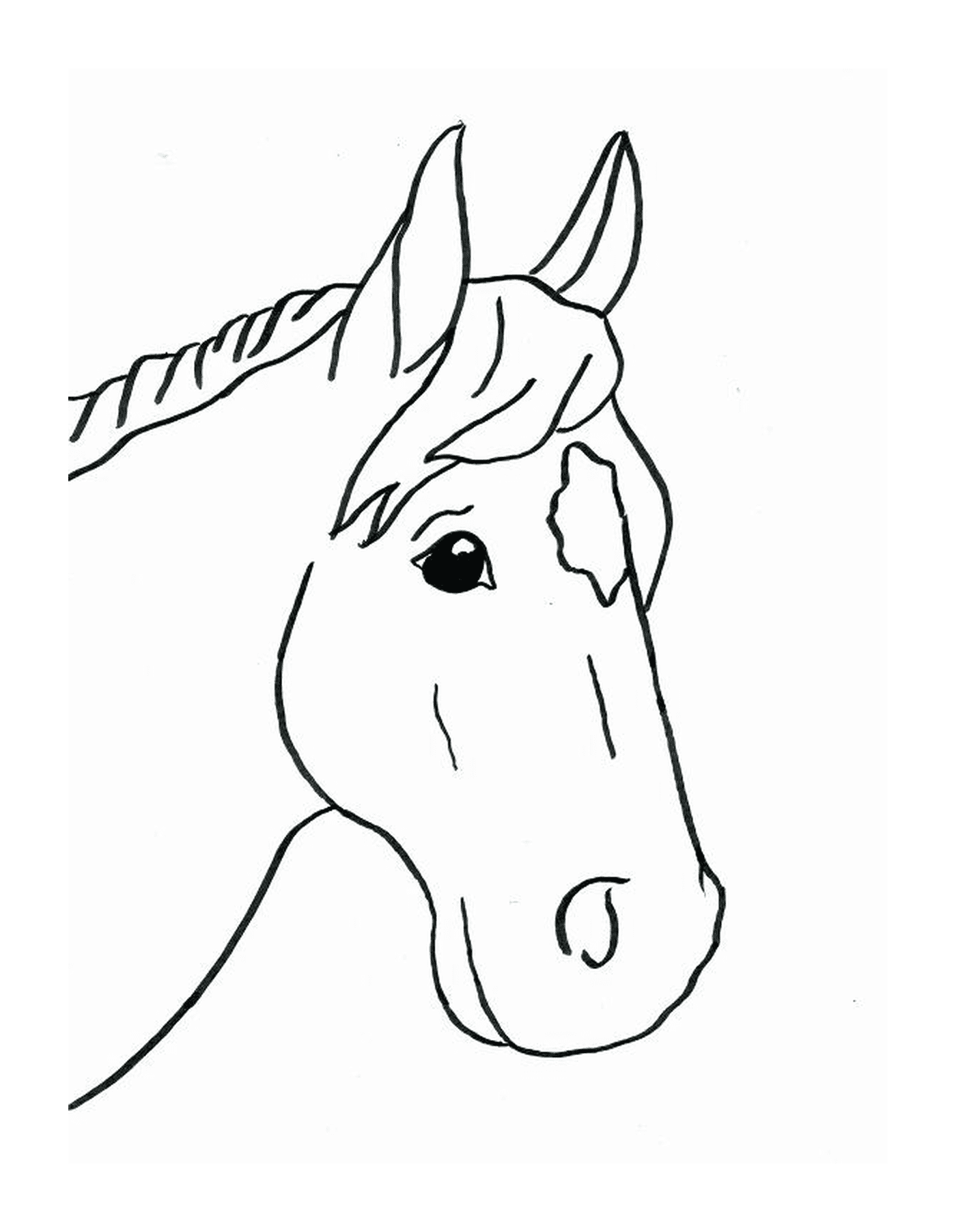 coloriage cheval facile 46