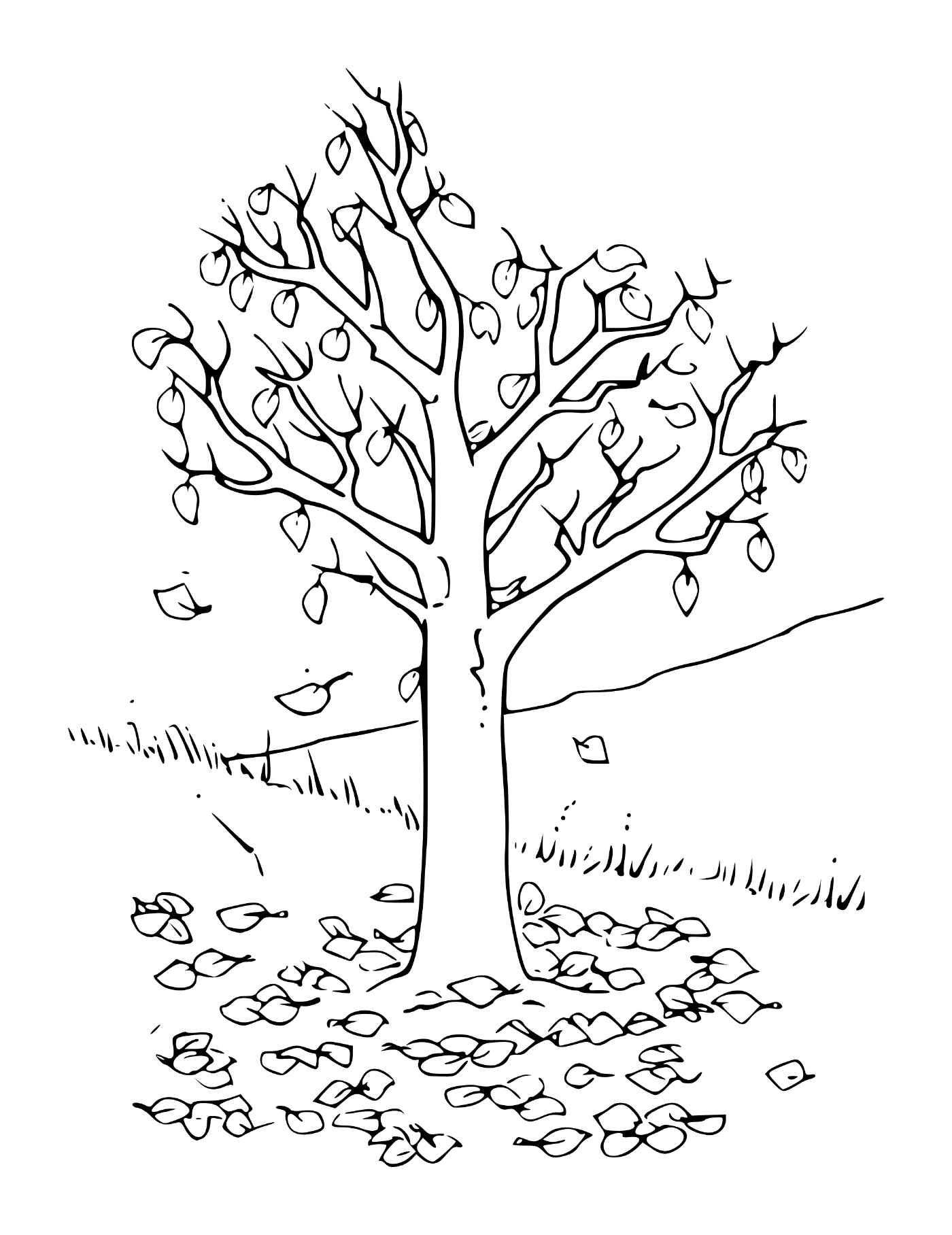 coloriage arbre automne avec feuilles