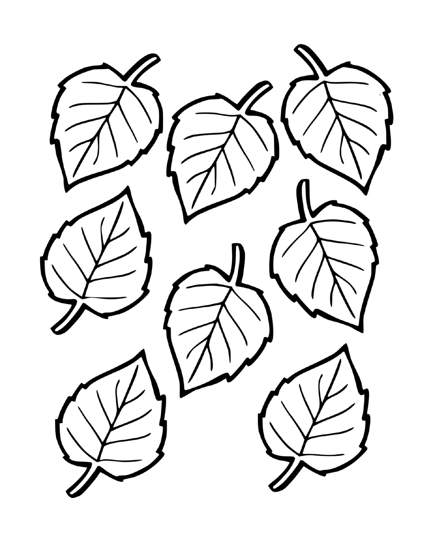 coloriage feuilles autonme arbre hetre