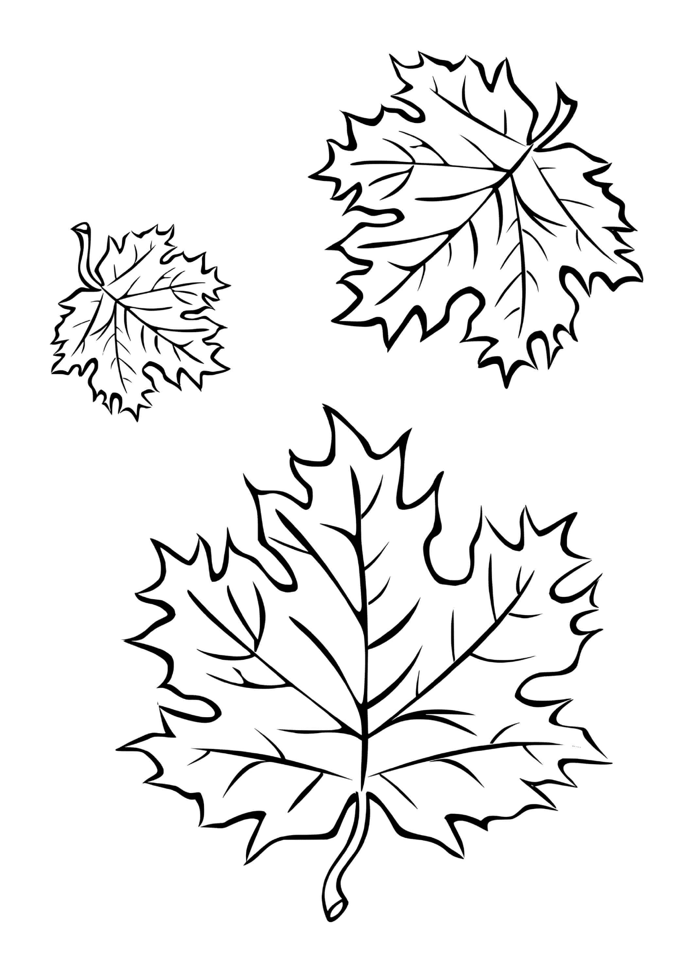 coloriage trois feuilles automne