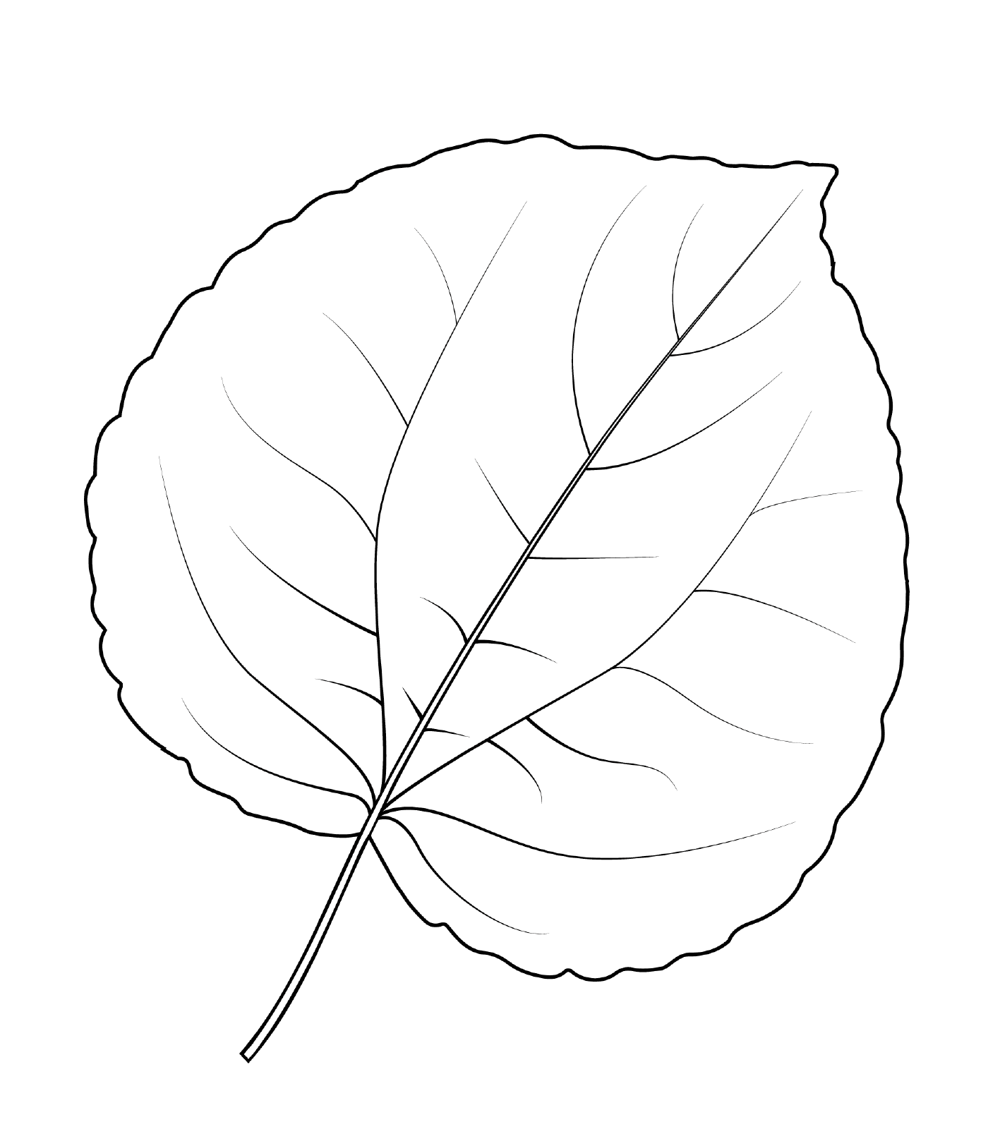 coloriage feuille arbre katsura