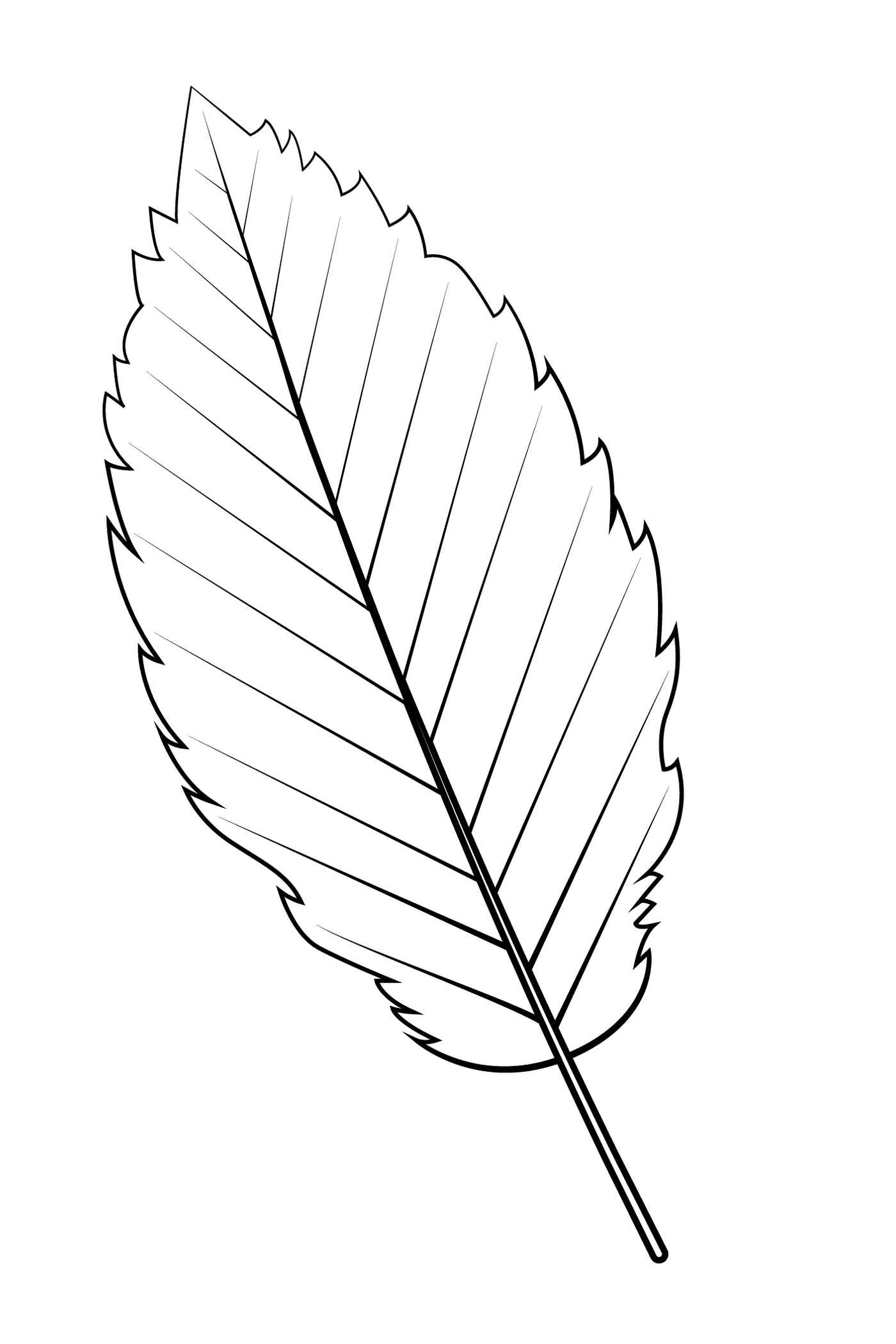 coloriage feuille aulne rouge