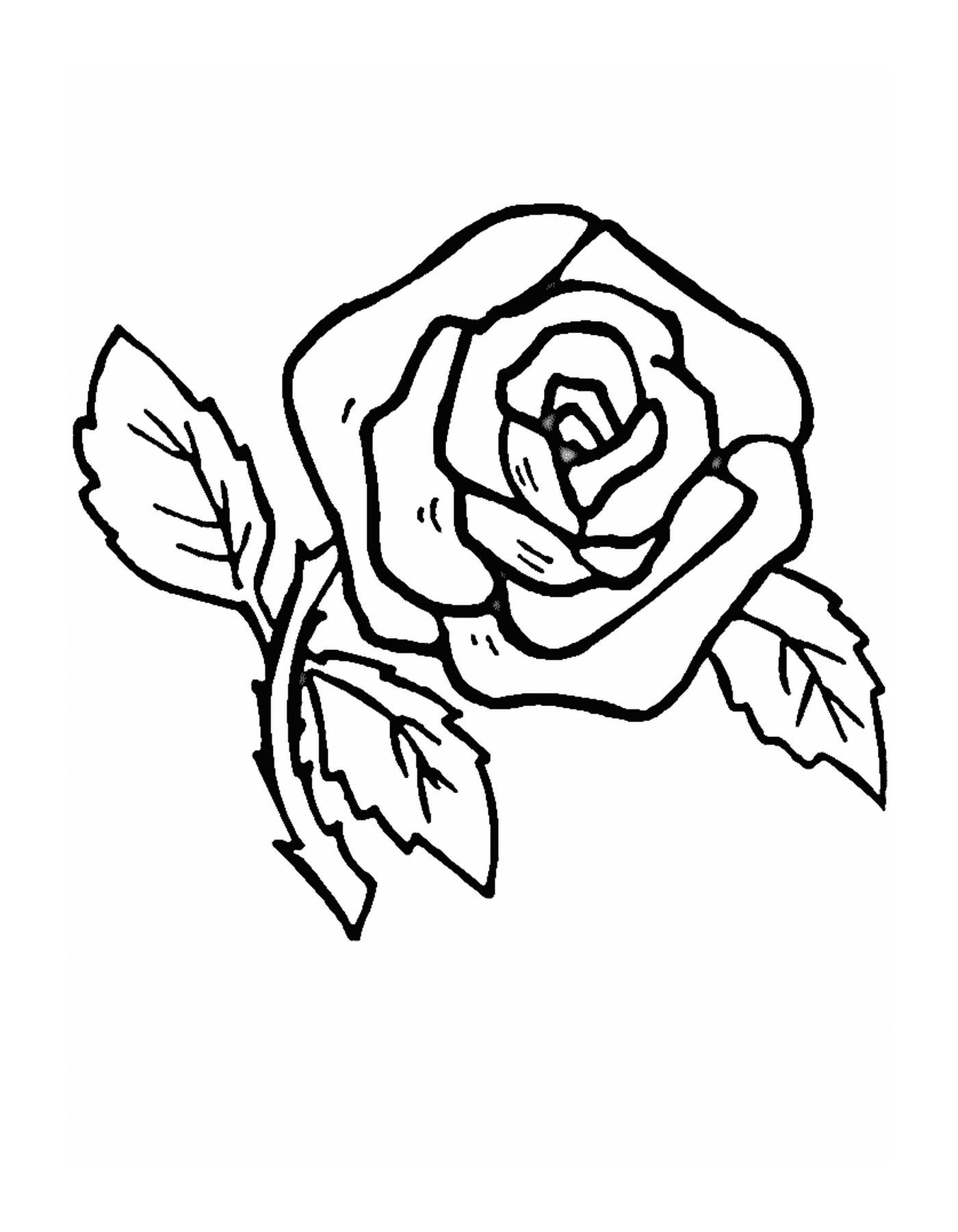 coloriage fleur rose