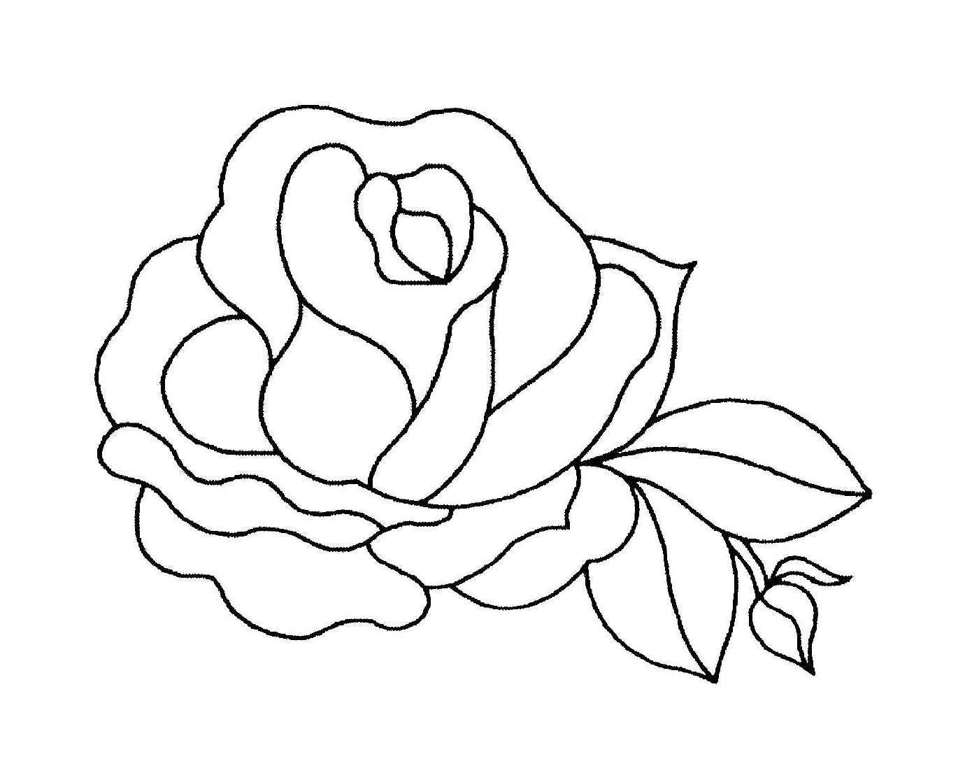 coloriage fleur de rose