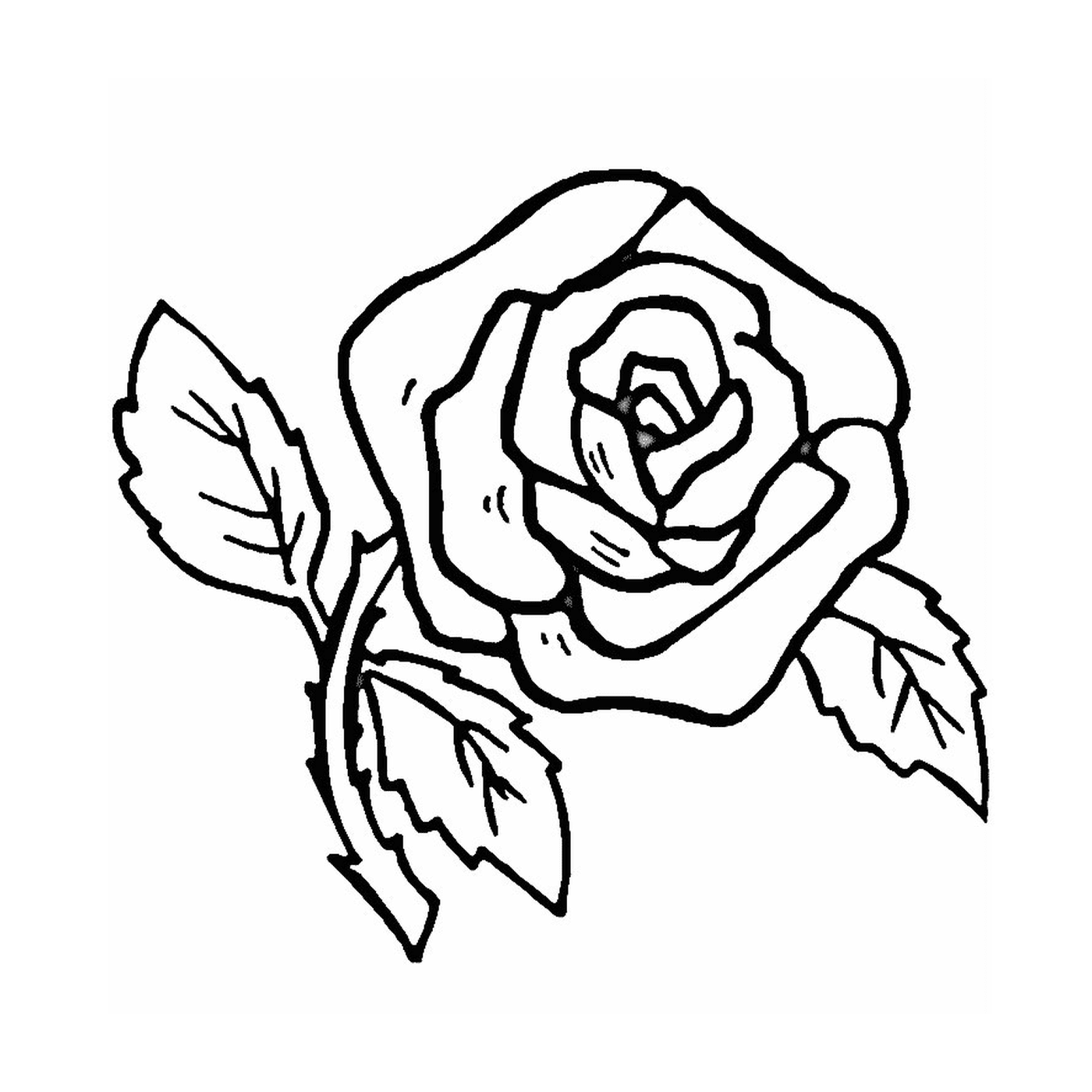 coloriage fleur rose simple et facile
