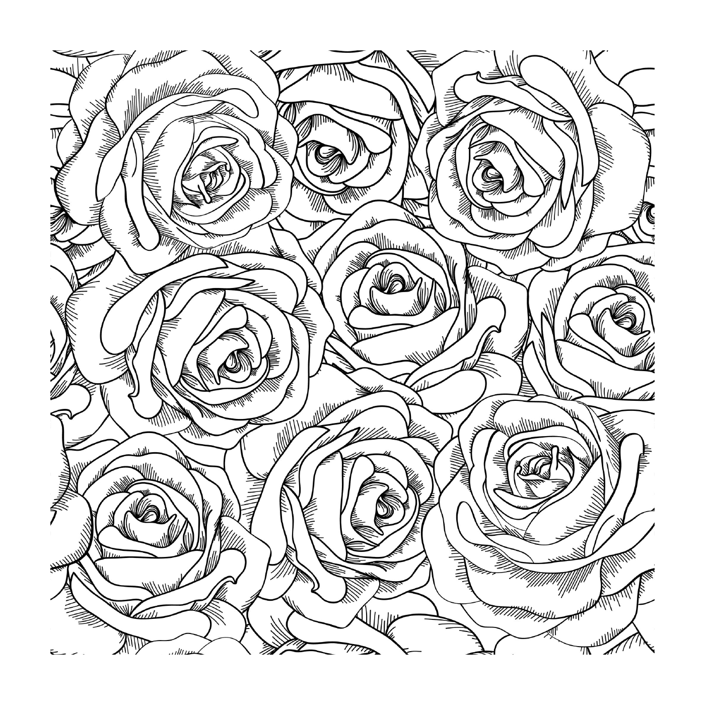 coloriage fleurs adulte roses