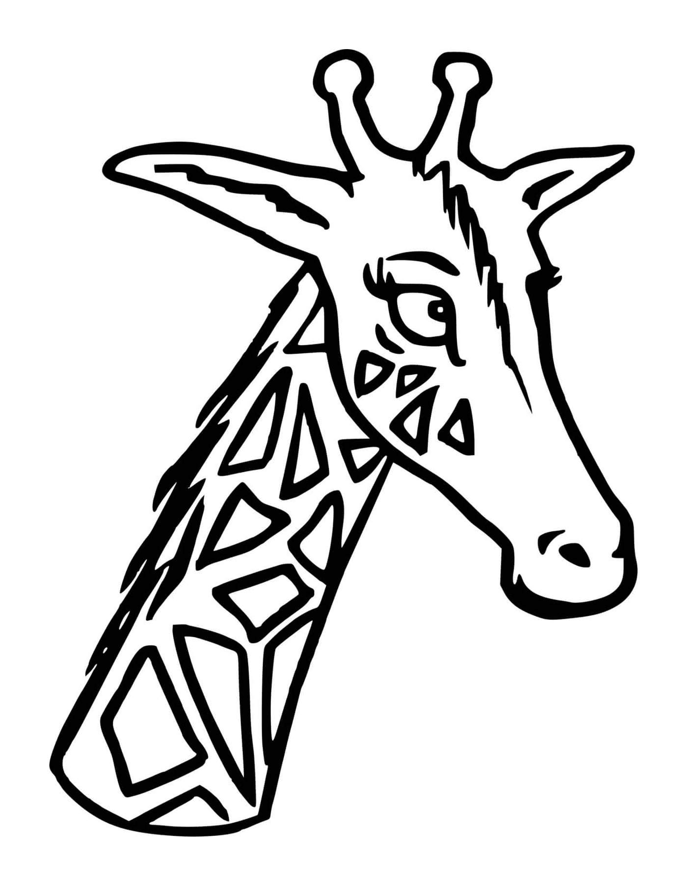 coloriage une tete de girafe avec son cou
