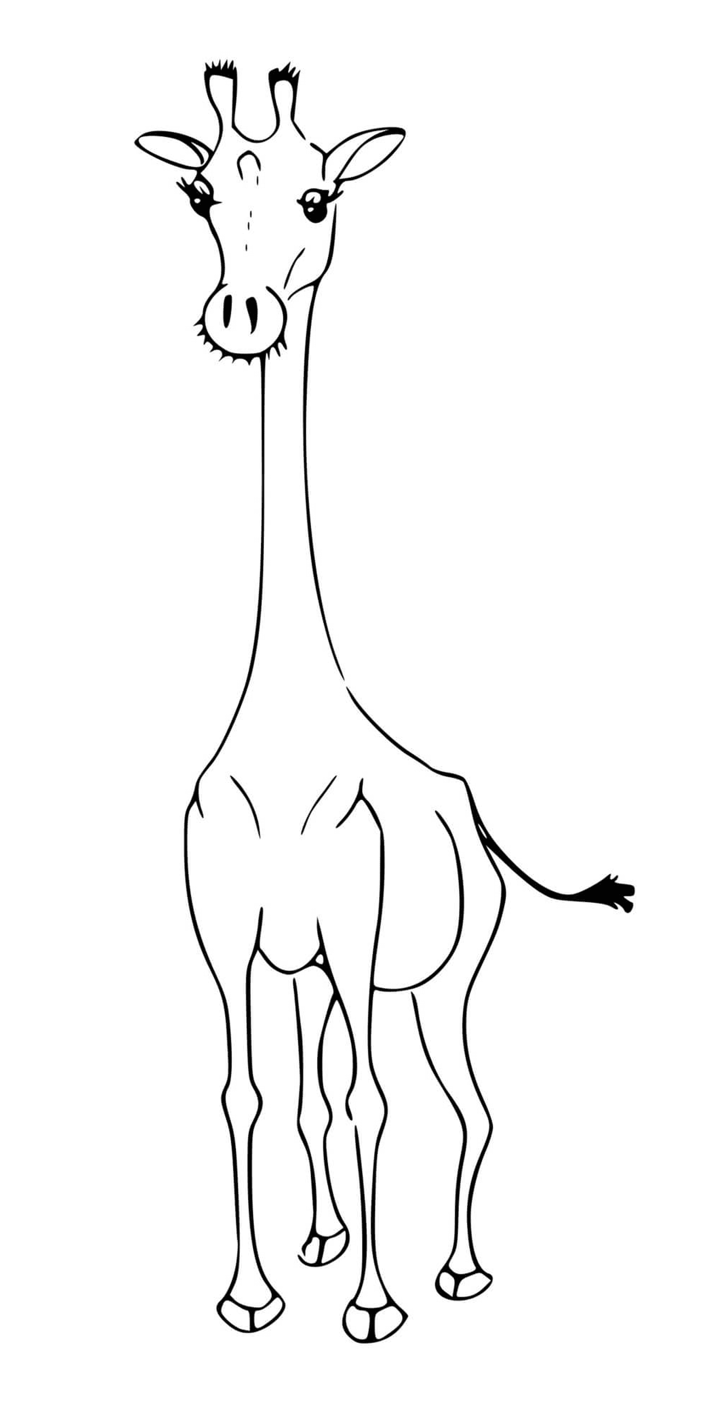 coloriage une girafe sans ses taches