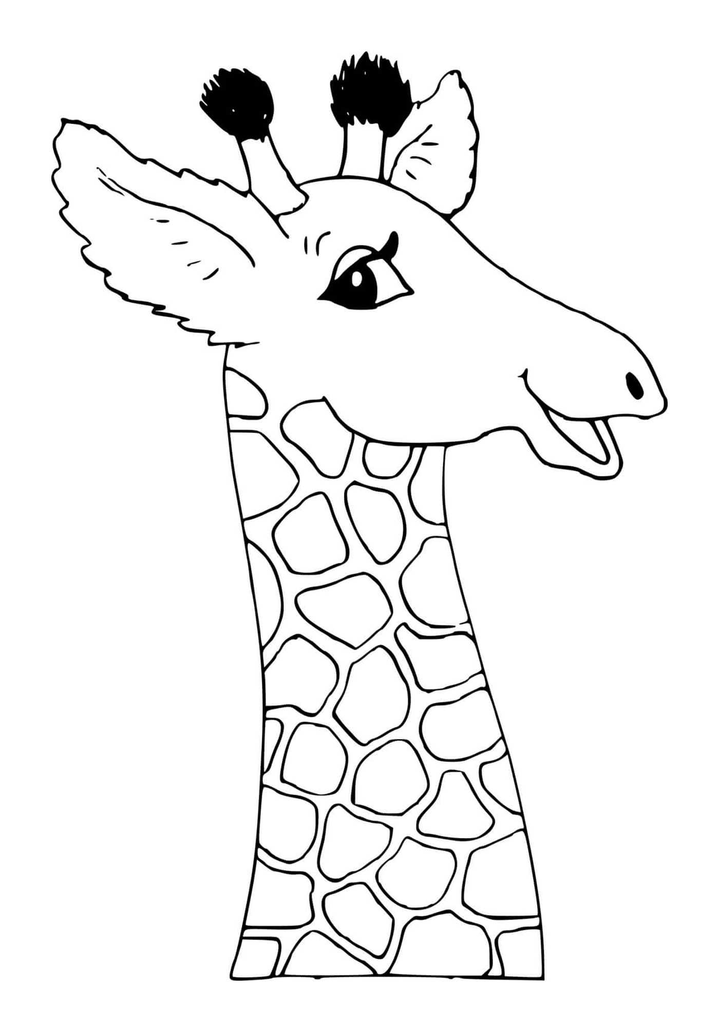 coloriage cou et tete d une girafe