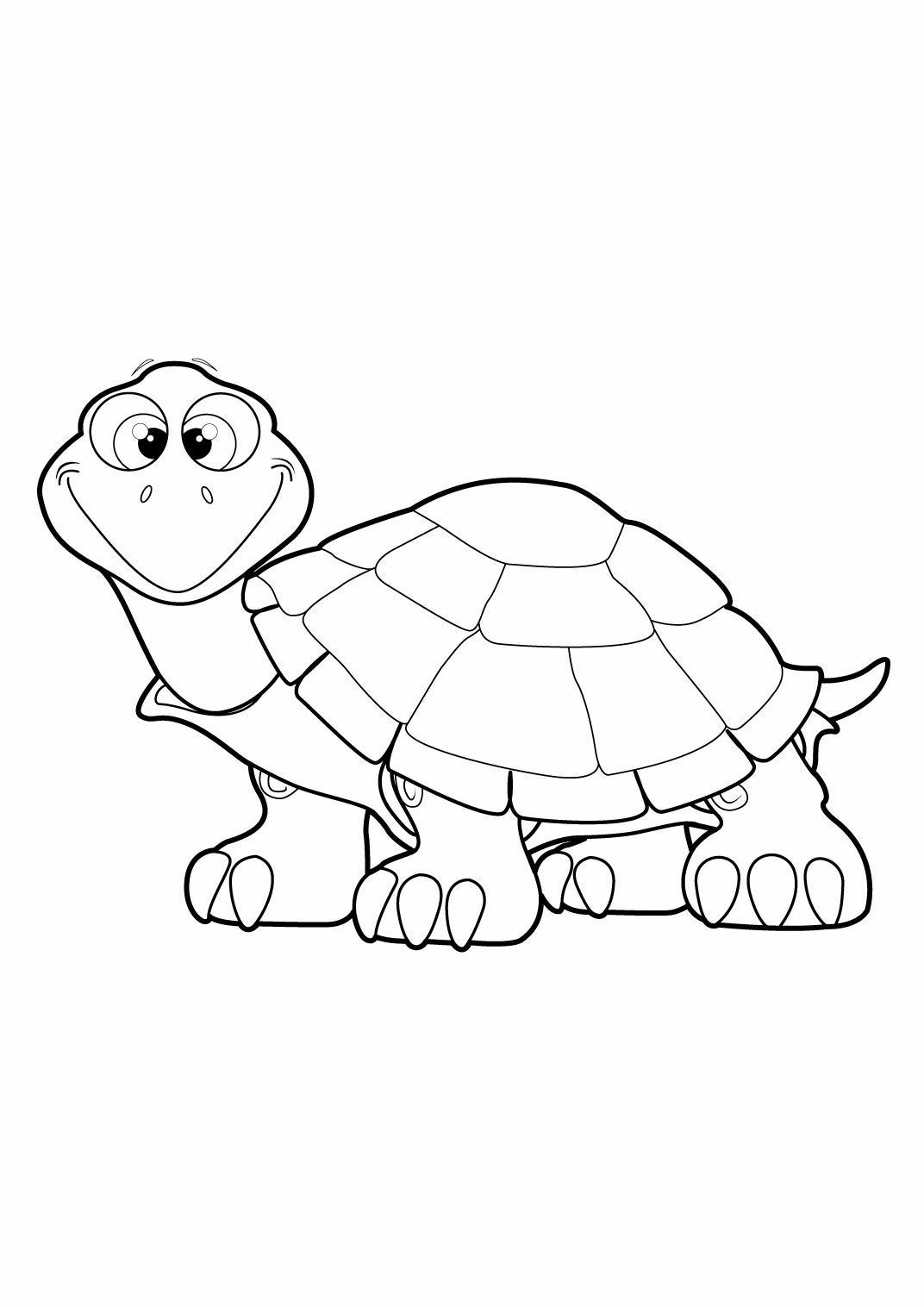 coloriage Tortue 20